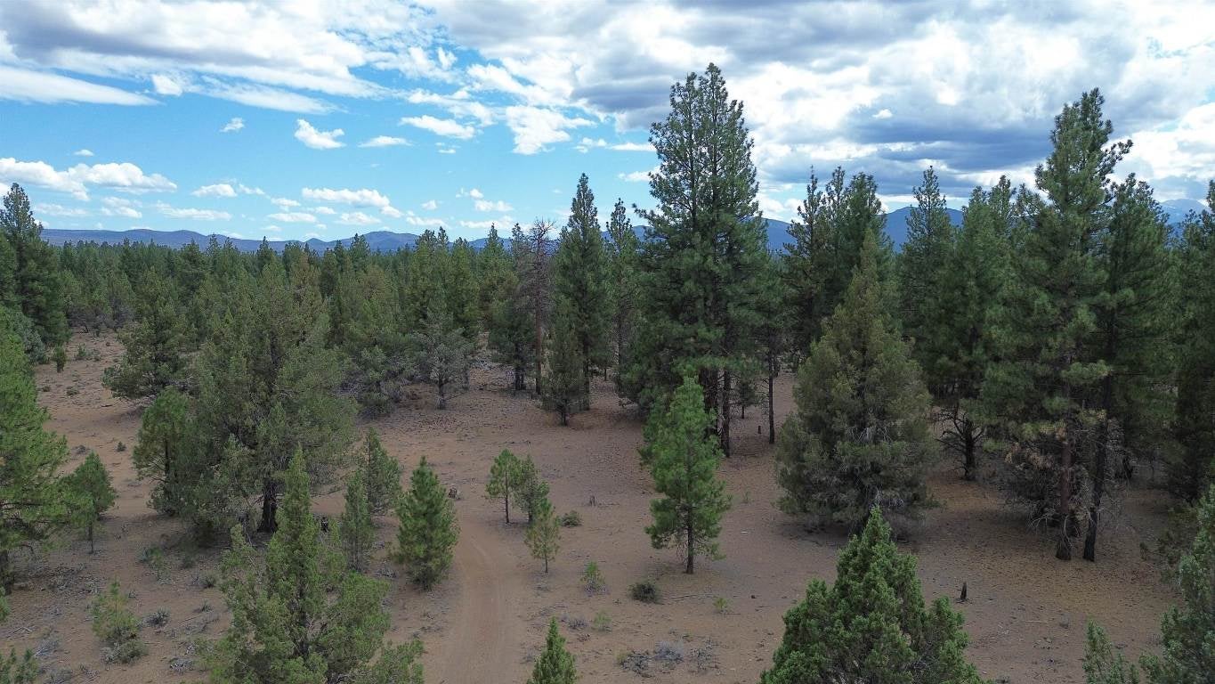 Robison Road Macdoel, CA 96058 - Photo 29 of 30 Gallery Image 29