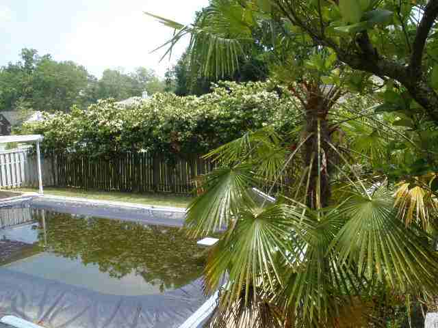 412 North Street Anderson, SC 29621 - Photo 14 of 14