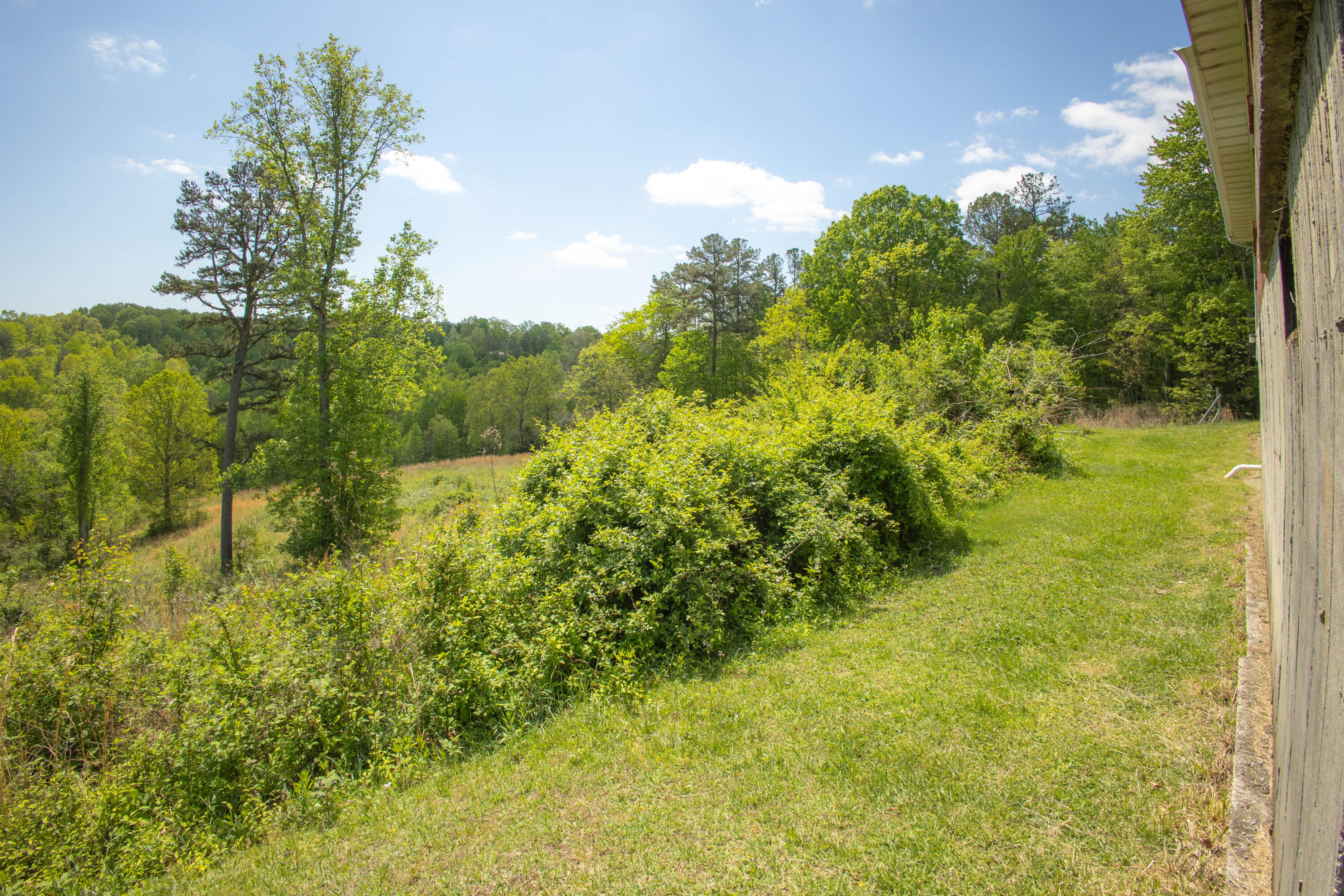 215 McDowell Road Burnside, KY 42519 - Photo 9 of 51 Dowel8 (1 of 1)