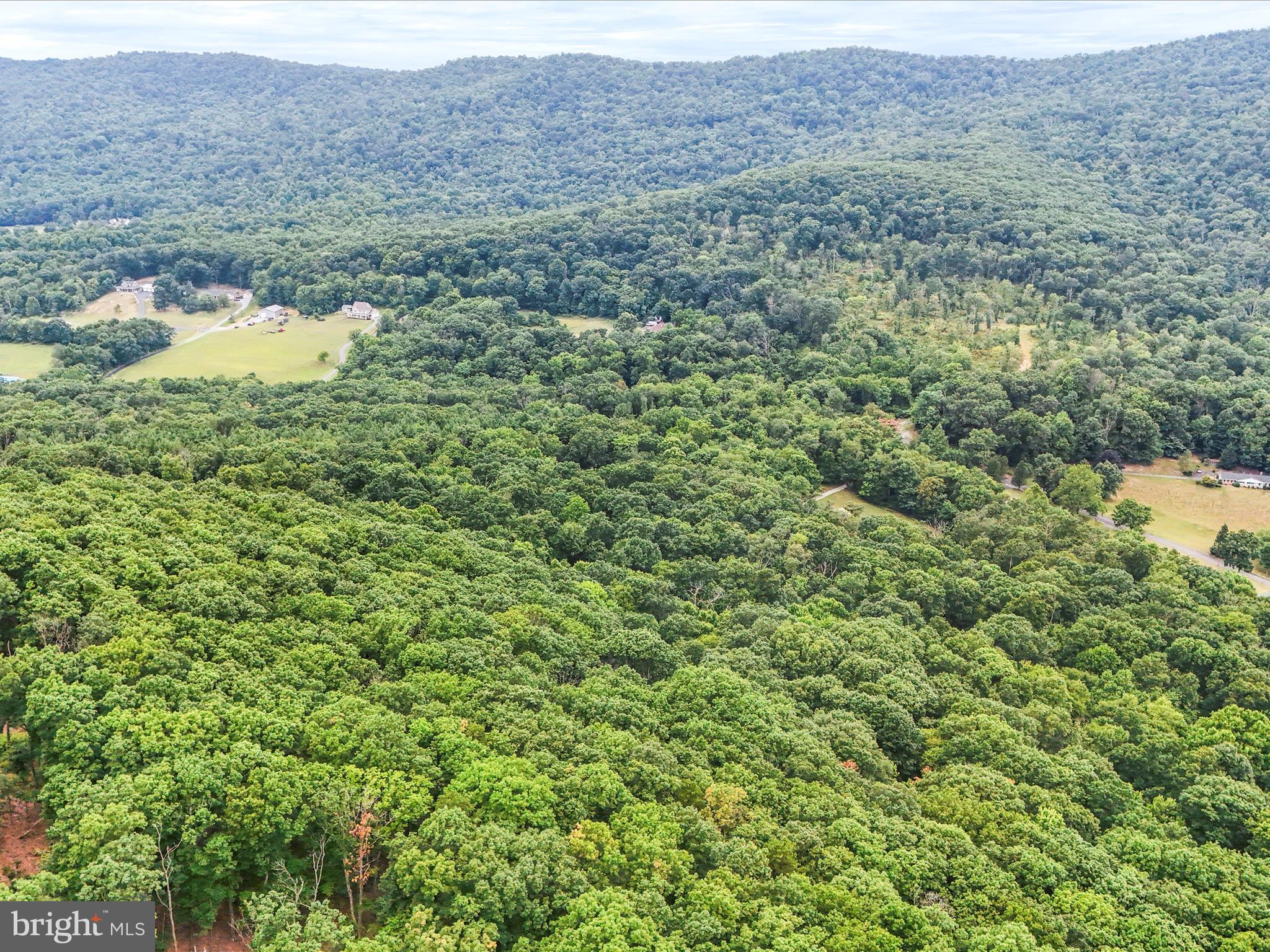 Draper Road Clear Spring, MD 21722 - Photo 14 of 16 a view of a lush green field
