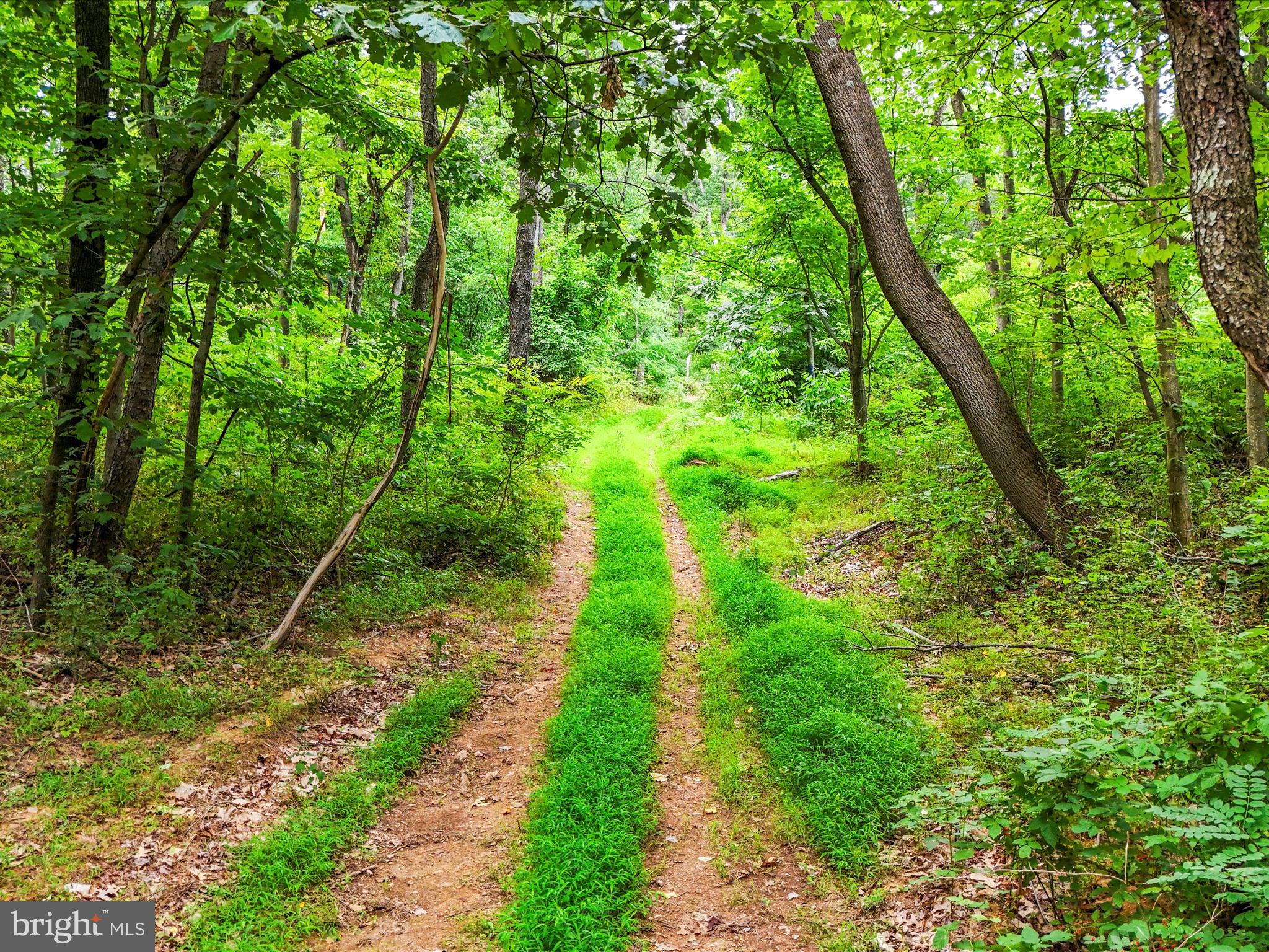 Draper Road Clear Spring, MD 21722 - Photo 6 of 16 a backyard of a house with lots of green space