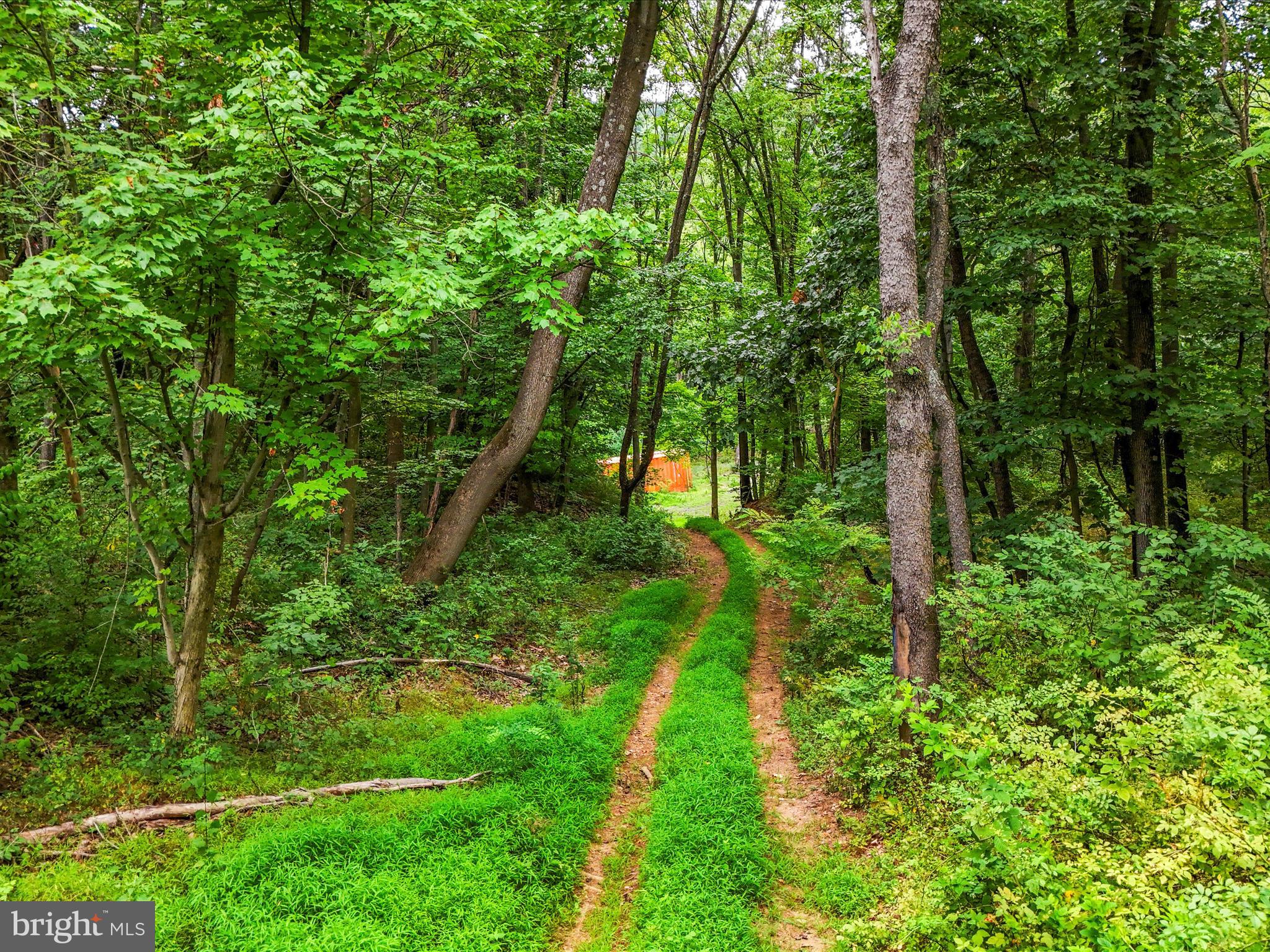 Draper Road Clear Spring, MD 21722 - Photo 8 of 16 a view of a garden