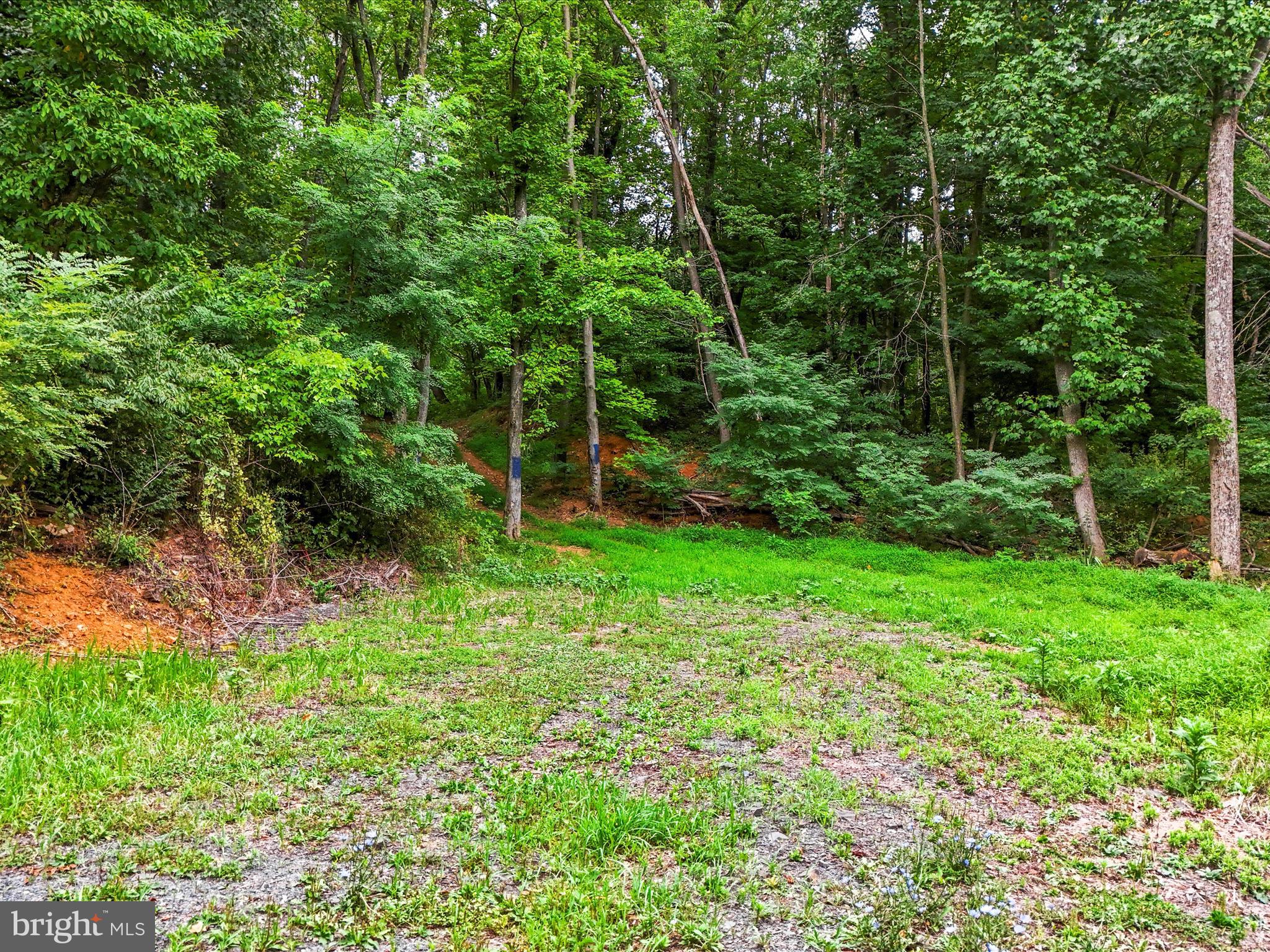 Draper Road Clear Spring, MD 21722 - Photo 10 of 16 a view of yard with green space