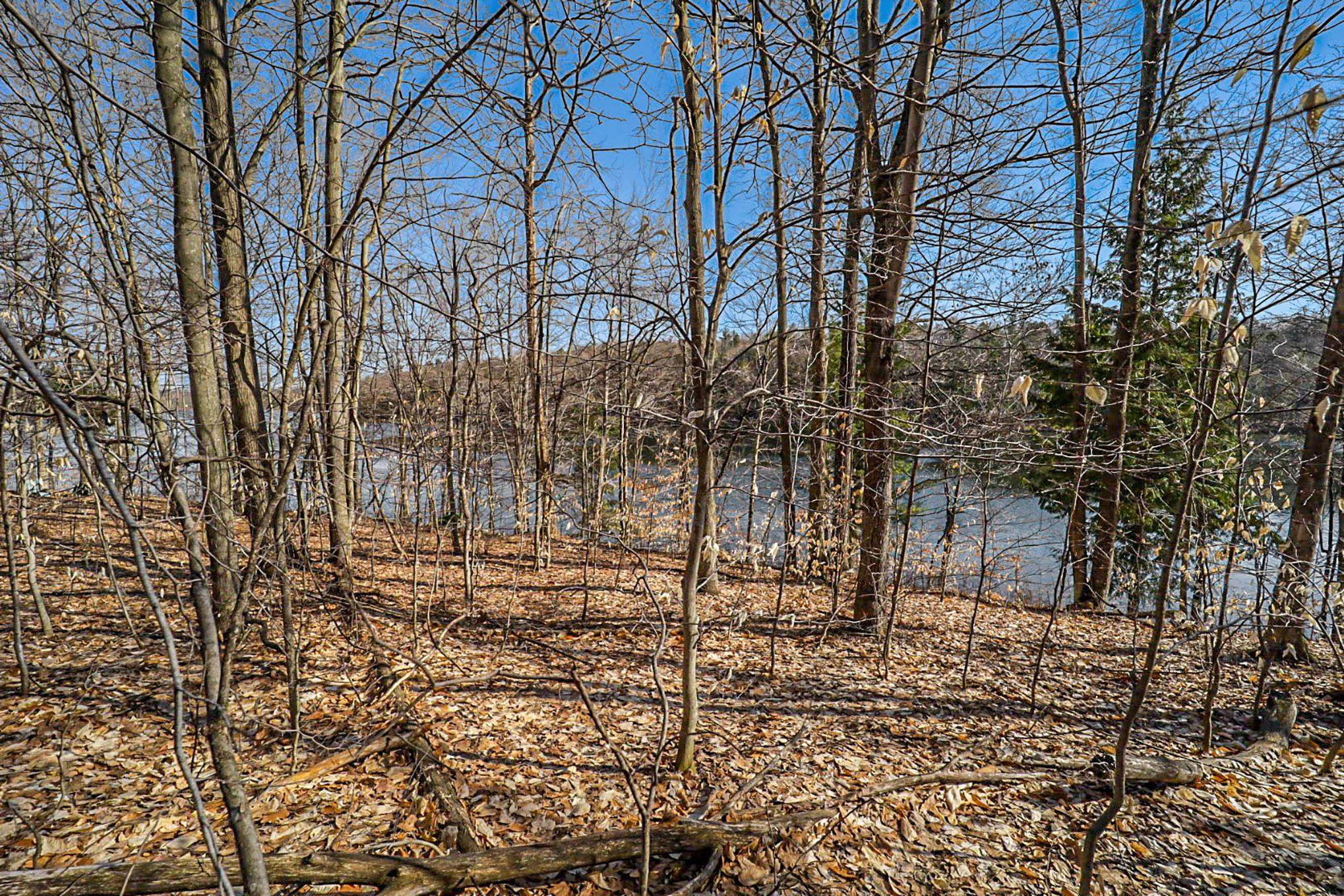 0 Heather Ridge Trail, Unit LOT 6 Beulah, MI 49617 - Photo 9 of 23