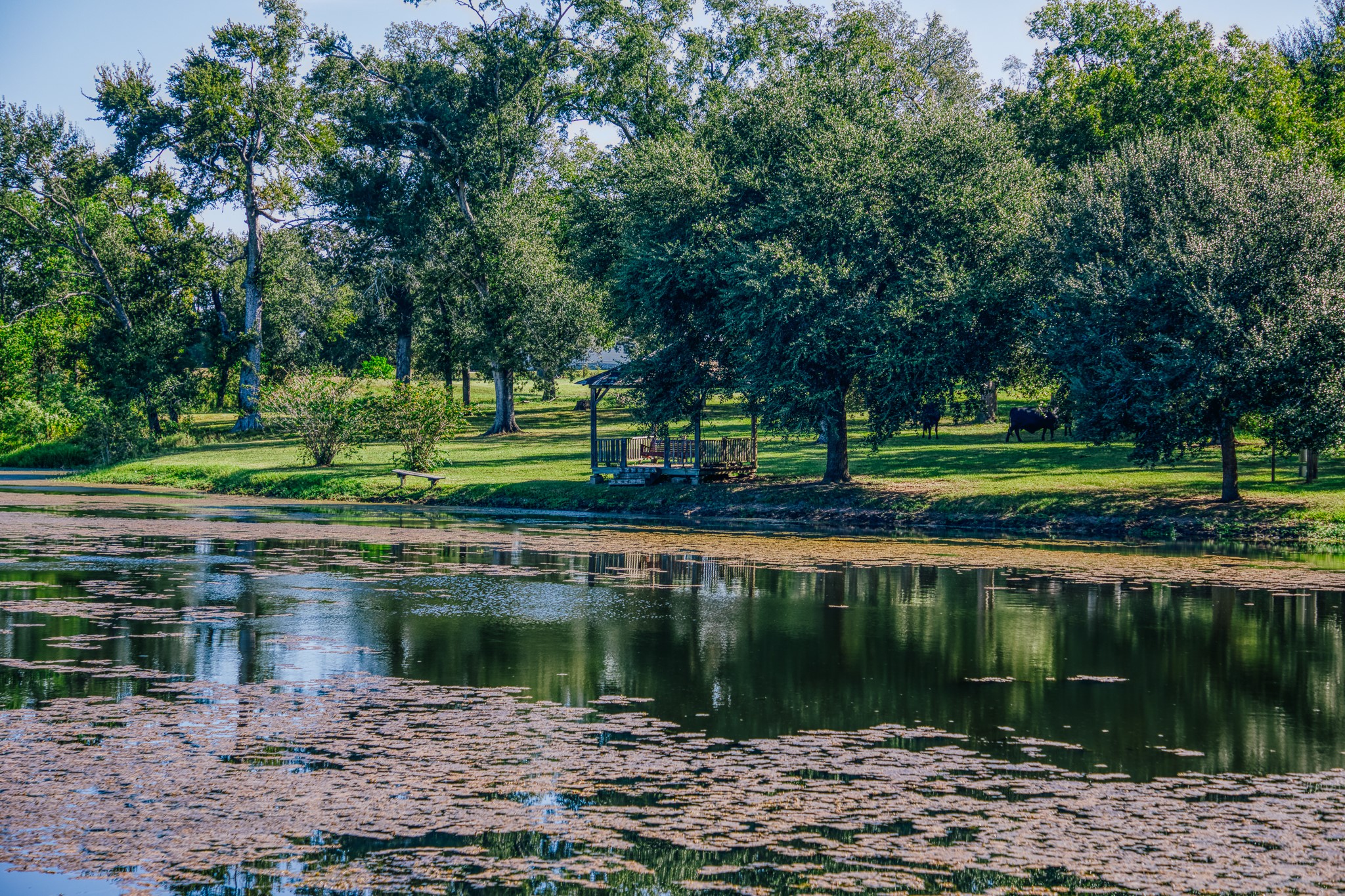 4083 Glaeser Road Bellville, TX 77418 - Photo 15 of 48 Gallery Image 15