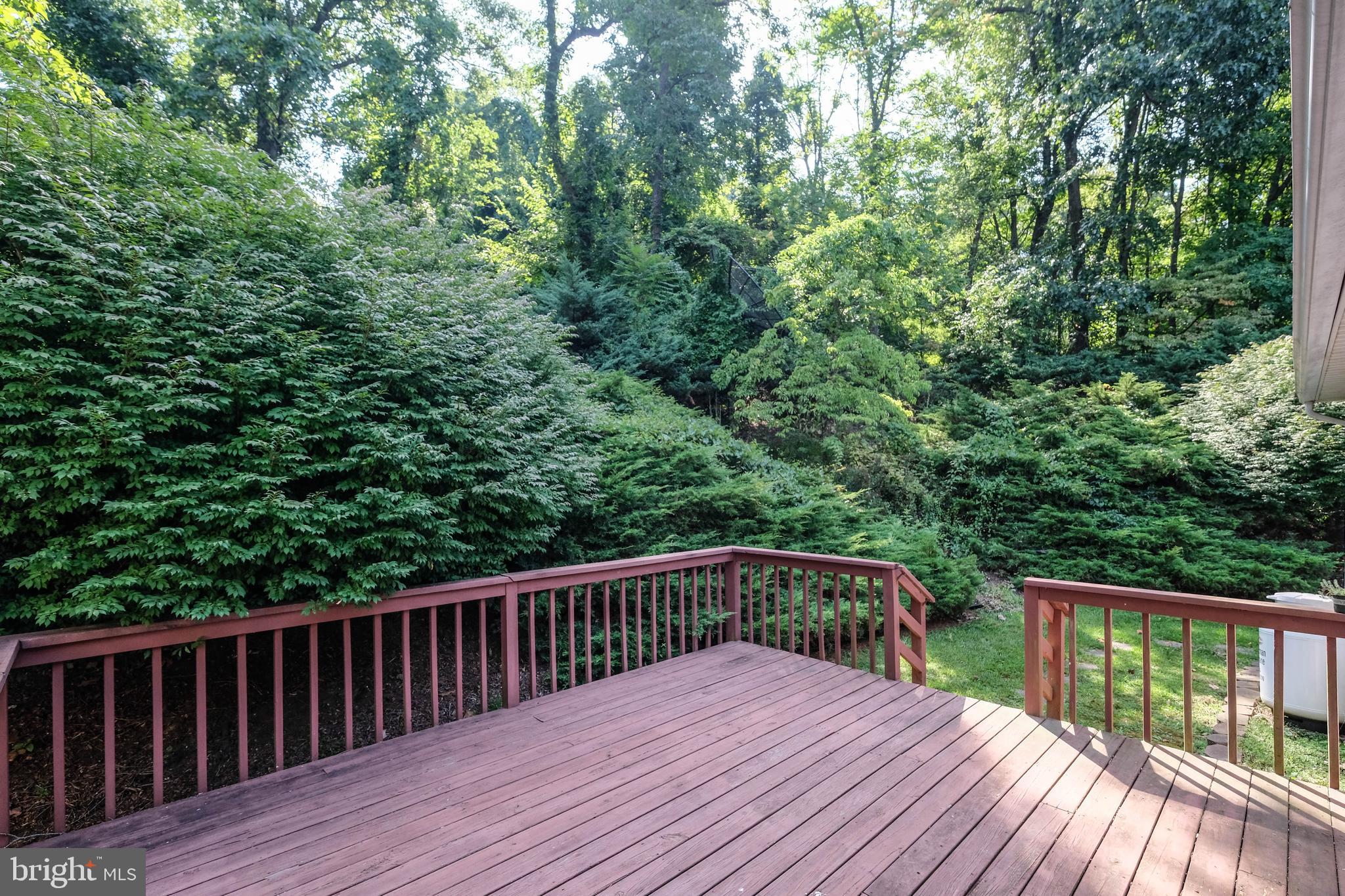 493 High Knob Road Front Royal, VA 22630 - Photo 3 of 56