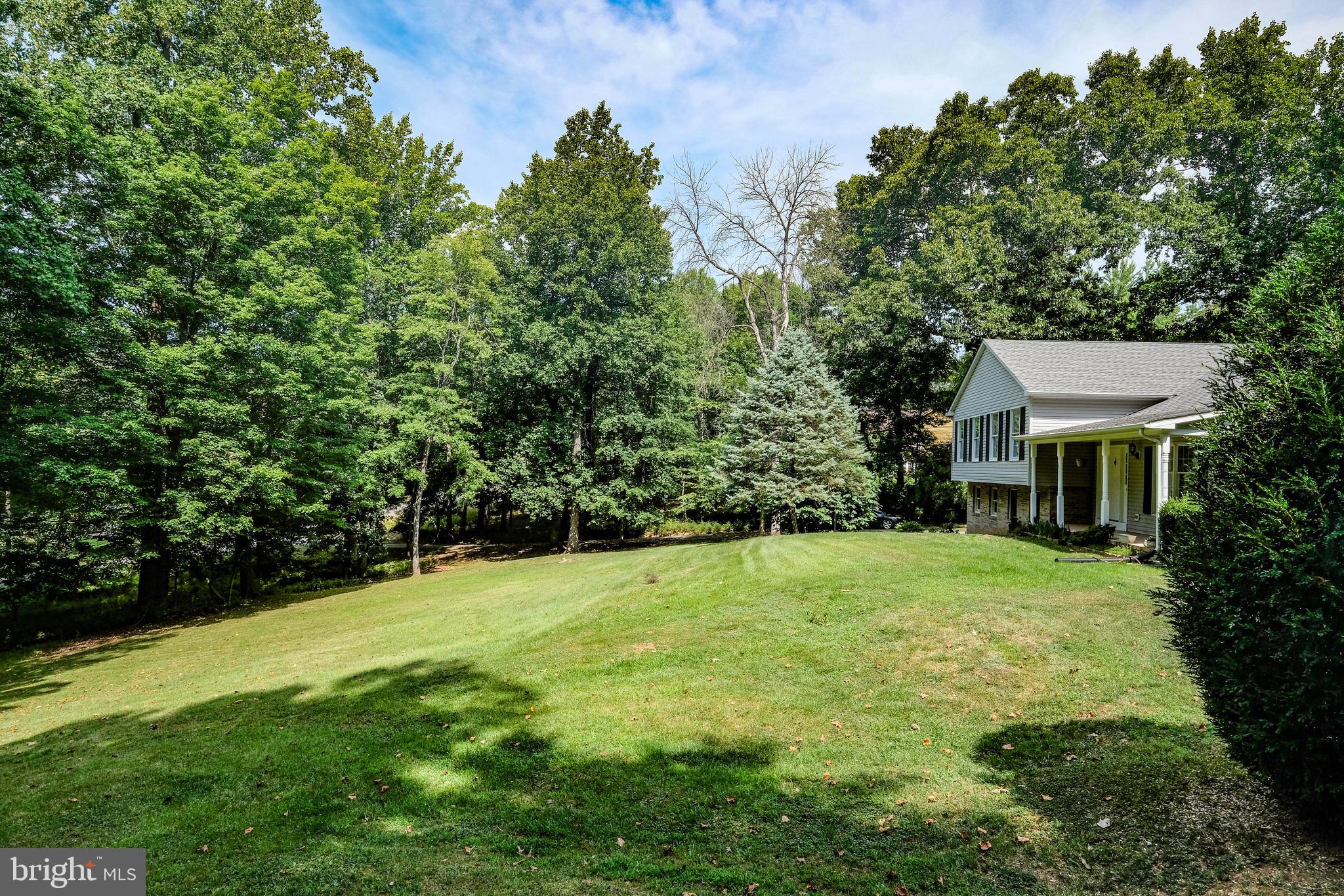 493 High Knob Road Front Royal, VA 22630 - Photo 46 of 56