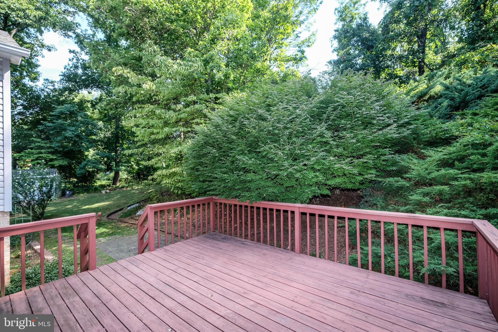 493 High Knob Road Front Royal, VA 22630 - Photo 53 of 56