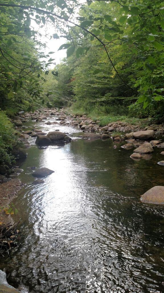 Lot 1 Runahan Road Andover, ME 04216 - Photo 15 of 15 Sawyer Brook 2