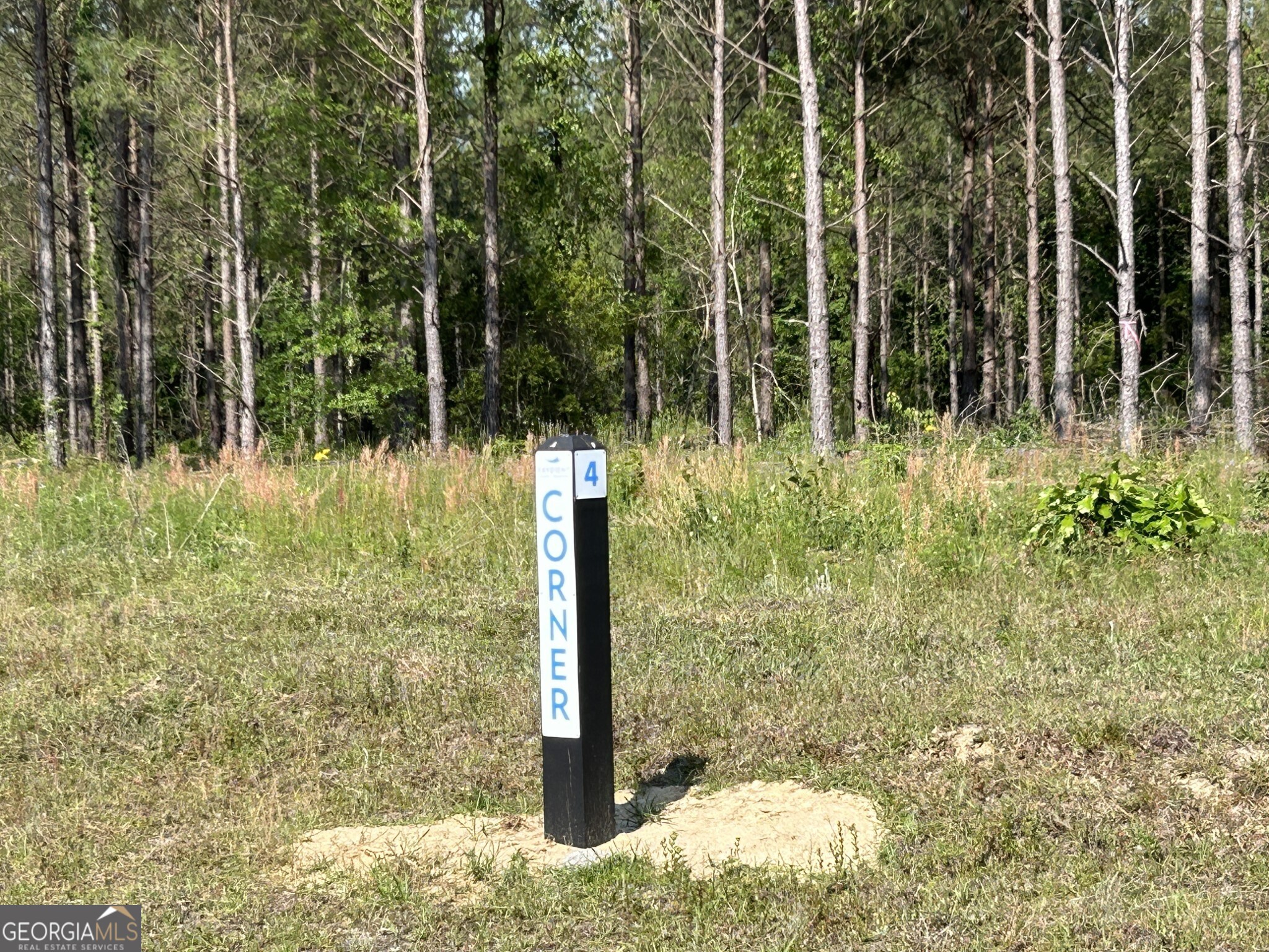 0 Dewey Thomas Road, Unit LOT 4 Dexter, GA 31019 - Photo 11 of 17 a view of a garden