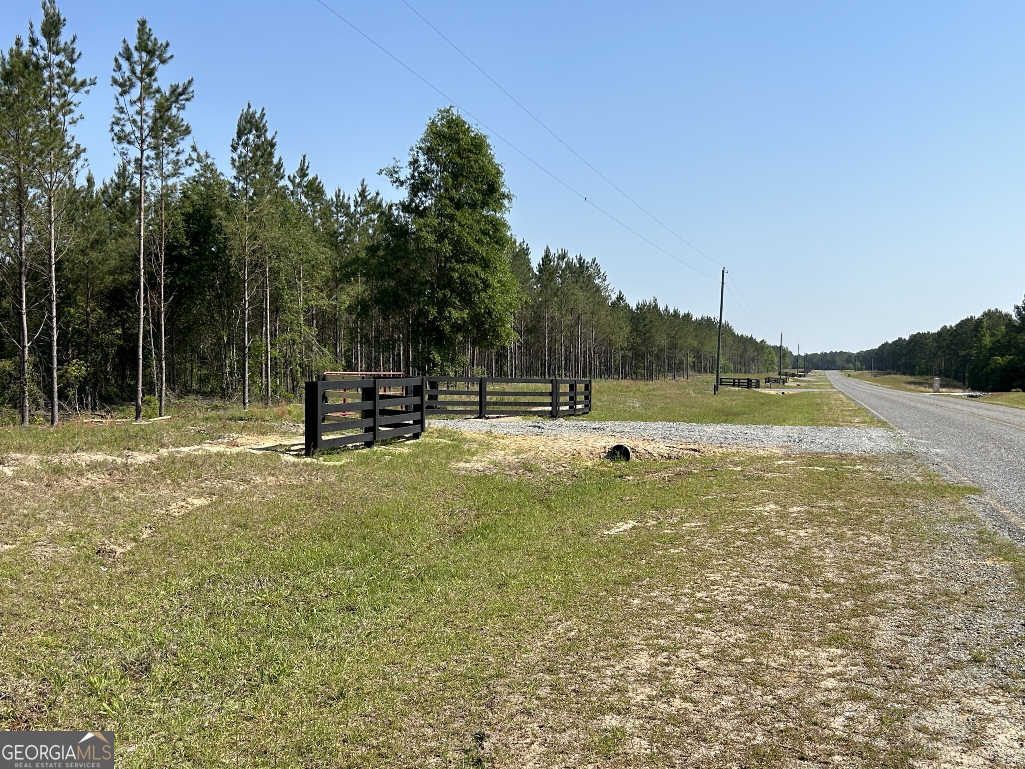 0 Dewey Thomas Road, Unit LOT 4 Dexter, GA 31019 - Photo 12 of 17