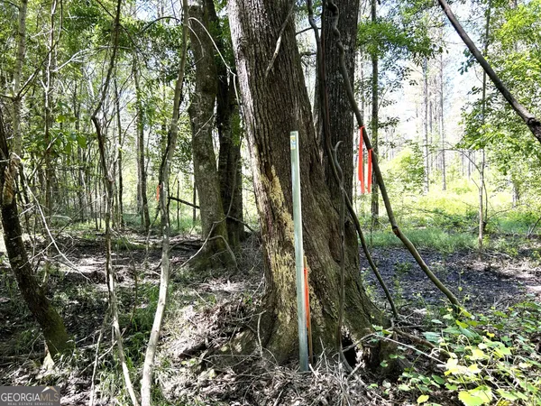 a view of outdoor space and trees