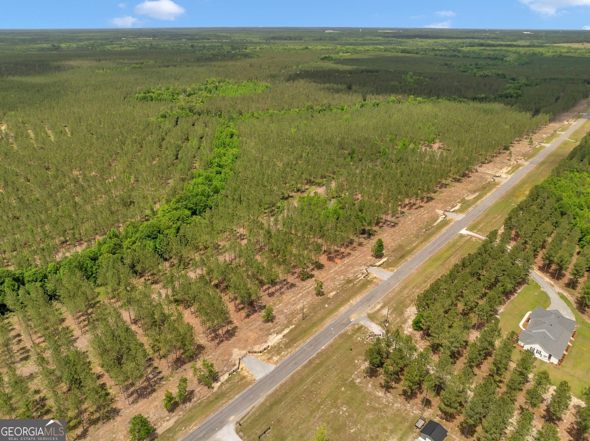 0 Dewey Thomas Road, Unit LOT 4 Dexter, GA 31019 - Photo 3 of 17 a view of an ocean from a yard