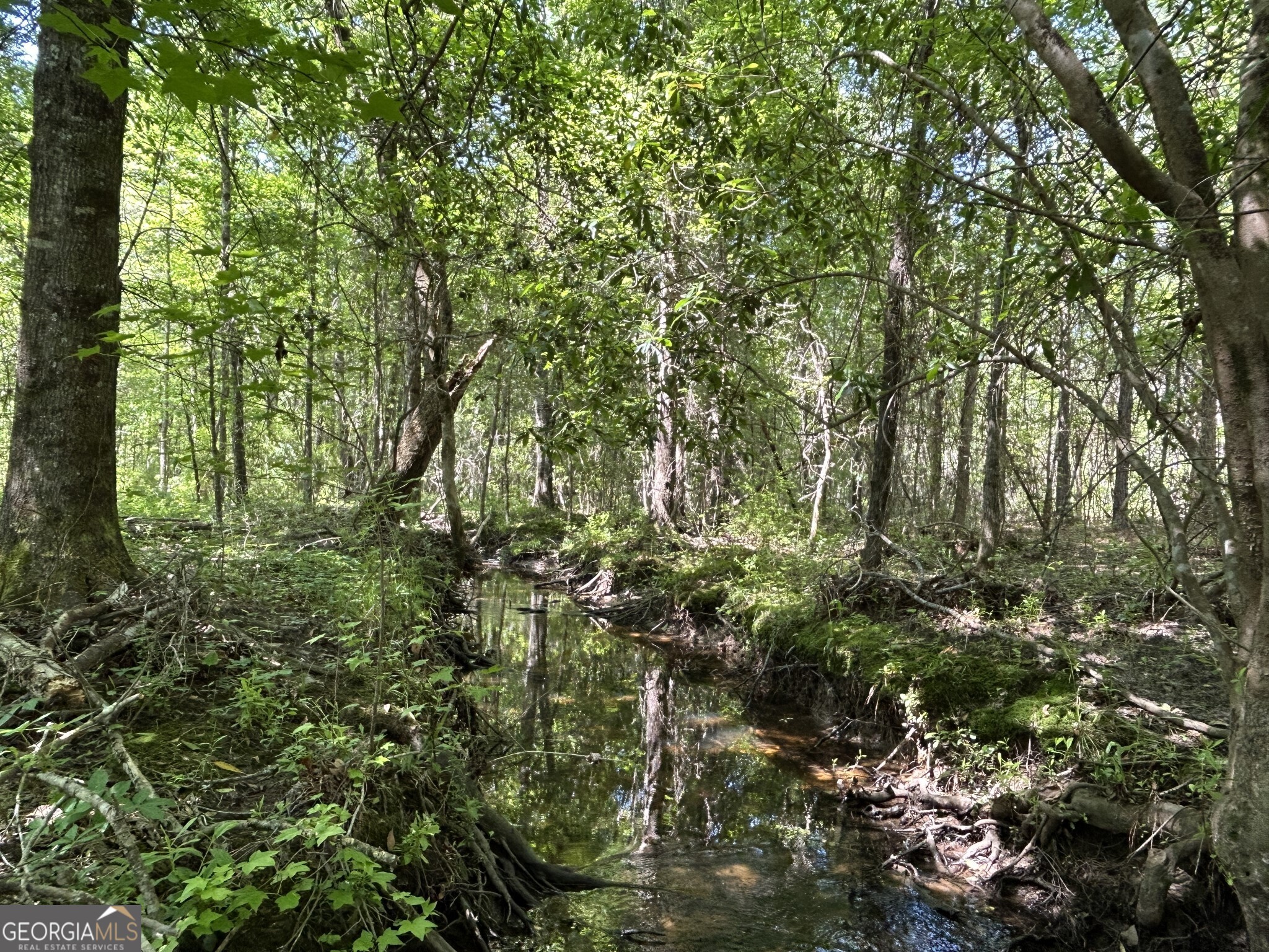 0 Dewey Thomas Road, Unit LOT 4 Dexter, GA 31019 - Photo 9 of 17 a view of a lush green forest