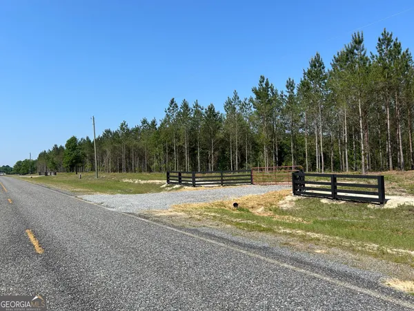 a view of a park with large trees