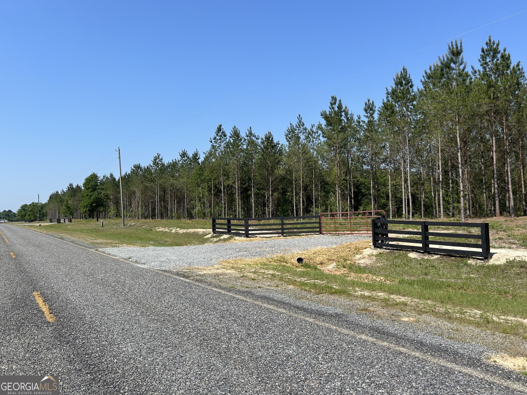 0 Dewey Thomas Road, Unit LOT 4 Dexter, GA 31019 - Photo 10 of 17 a view of a park with large trees