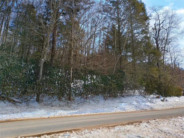 a view of a yard and a trees