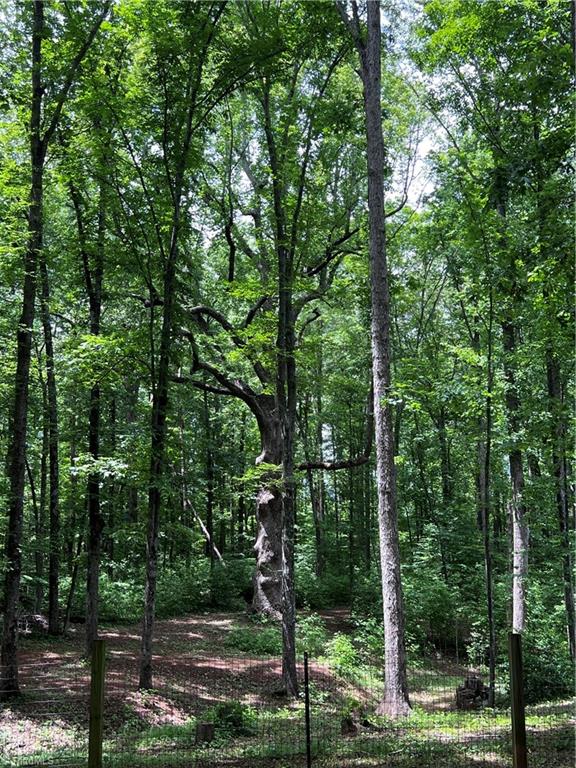 1618 High Rock Road Gibsonville, NC 27249 - Photo 33 of 35 Gallery Image 33