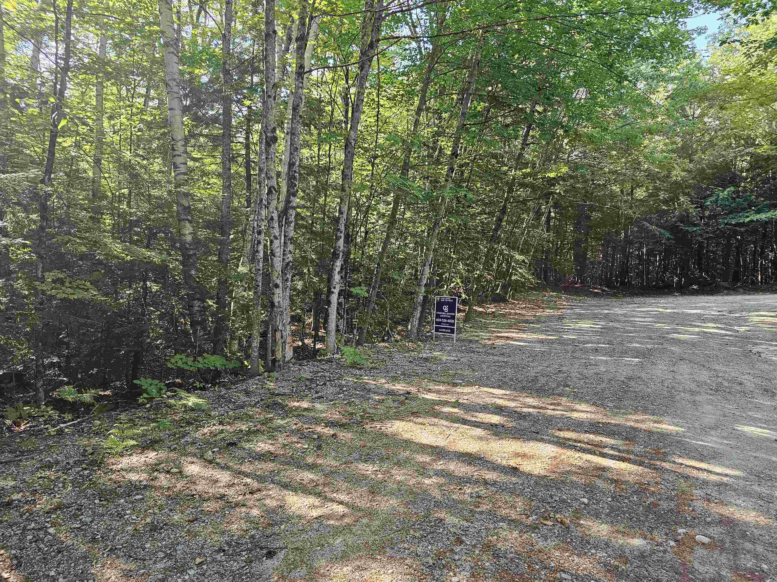 0 Forest Brook Road Newbury, NH 03255 - Photo 2 of 3