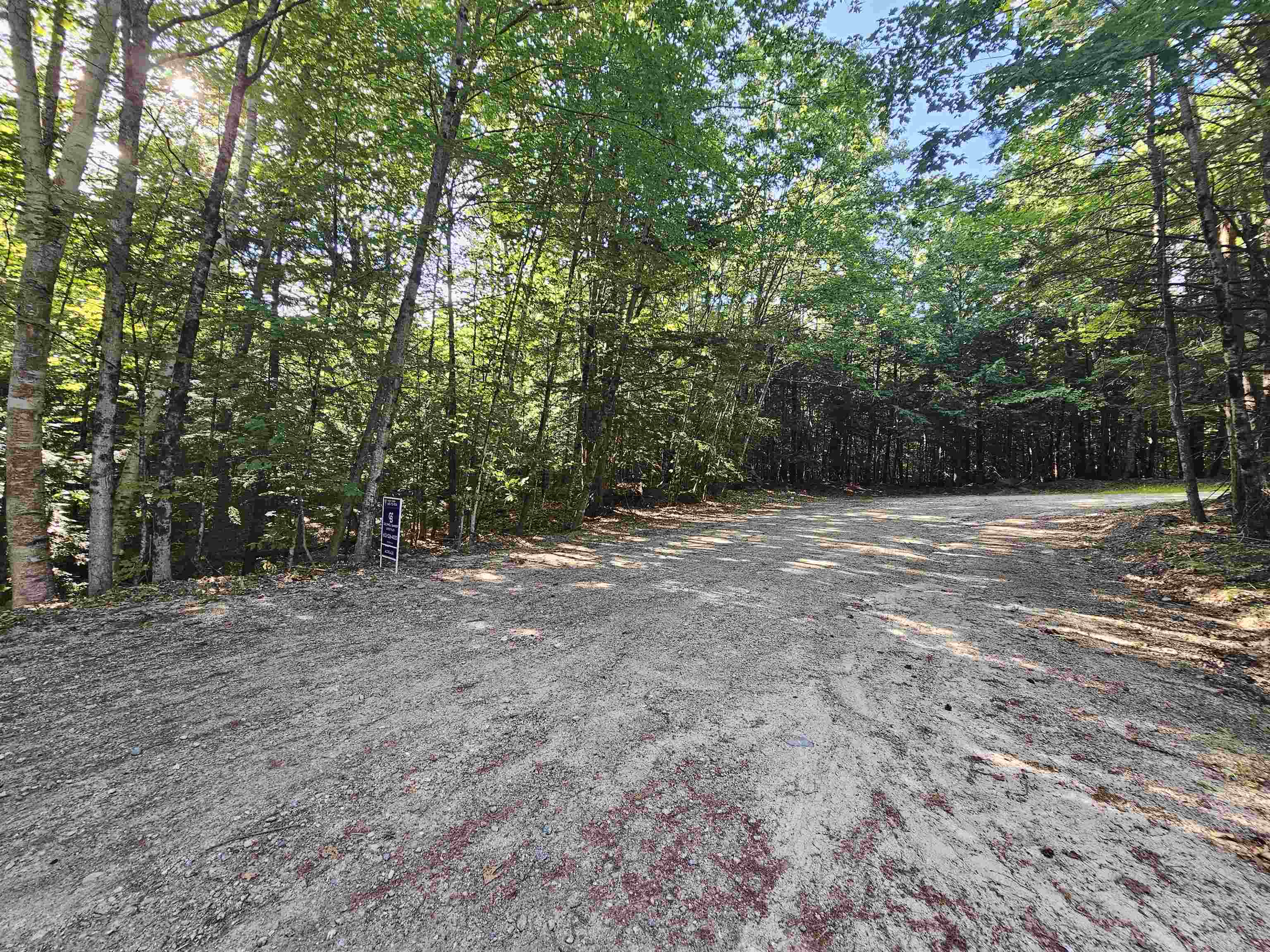 0 Forest Brook Road Newbury, NH 03255 - Photo 3 of 3