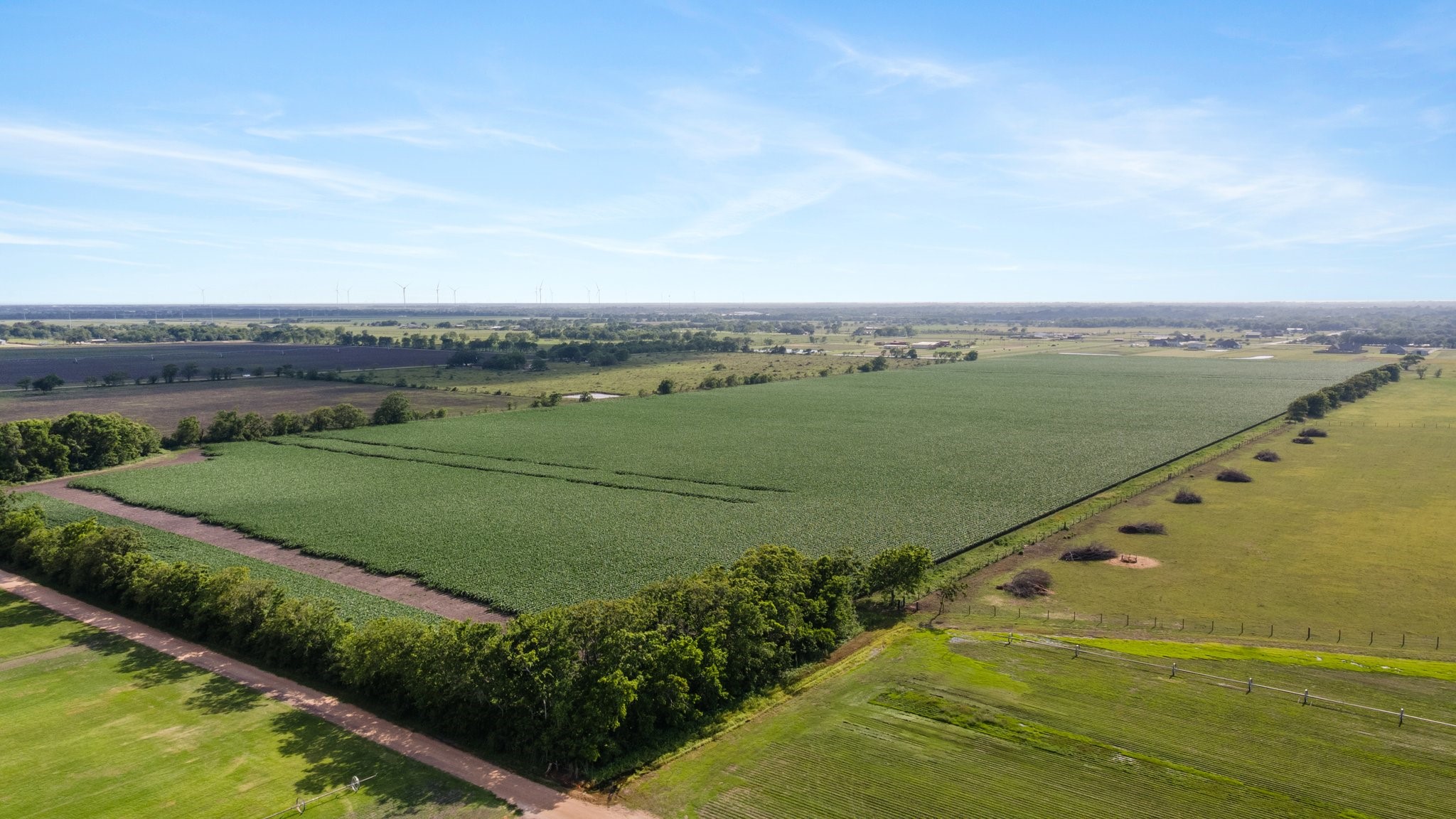 0 County Road 166 Road Bay City, TX 77414 - Photo 27 of 30 a view of a field with an ocean