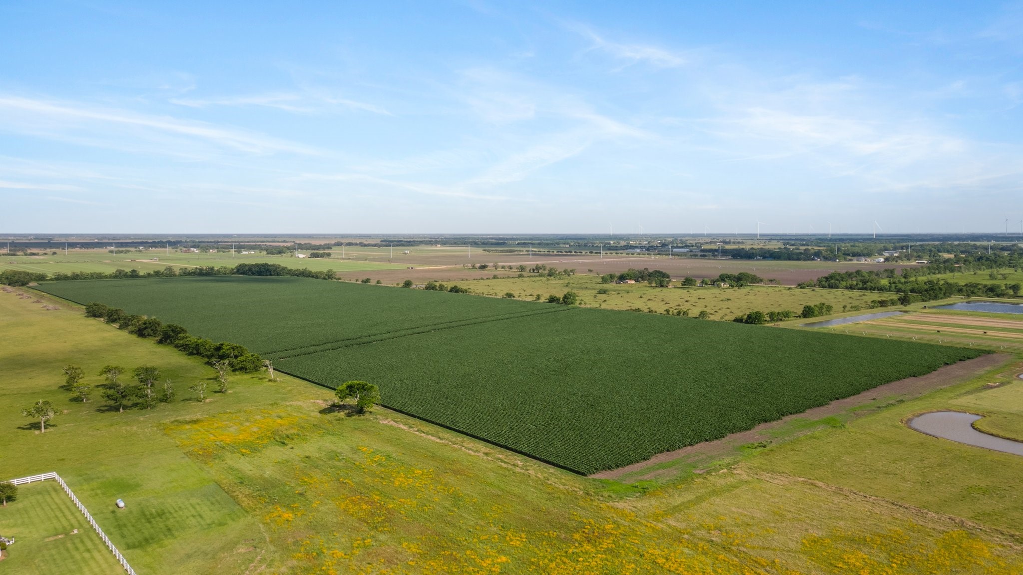 0 County Road 166 Road Bay City, TX 77414 - Photo 30 of 30 a view of a field with an ocean