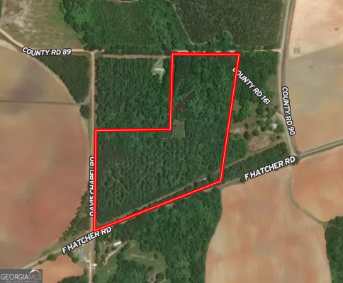 775 Fains Hatchery Road Edison, GA 39846 - Photo 21 of 21