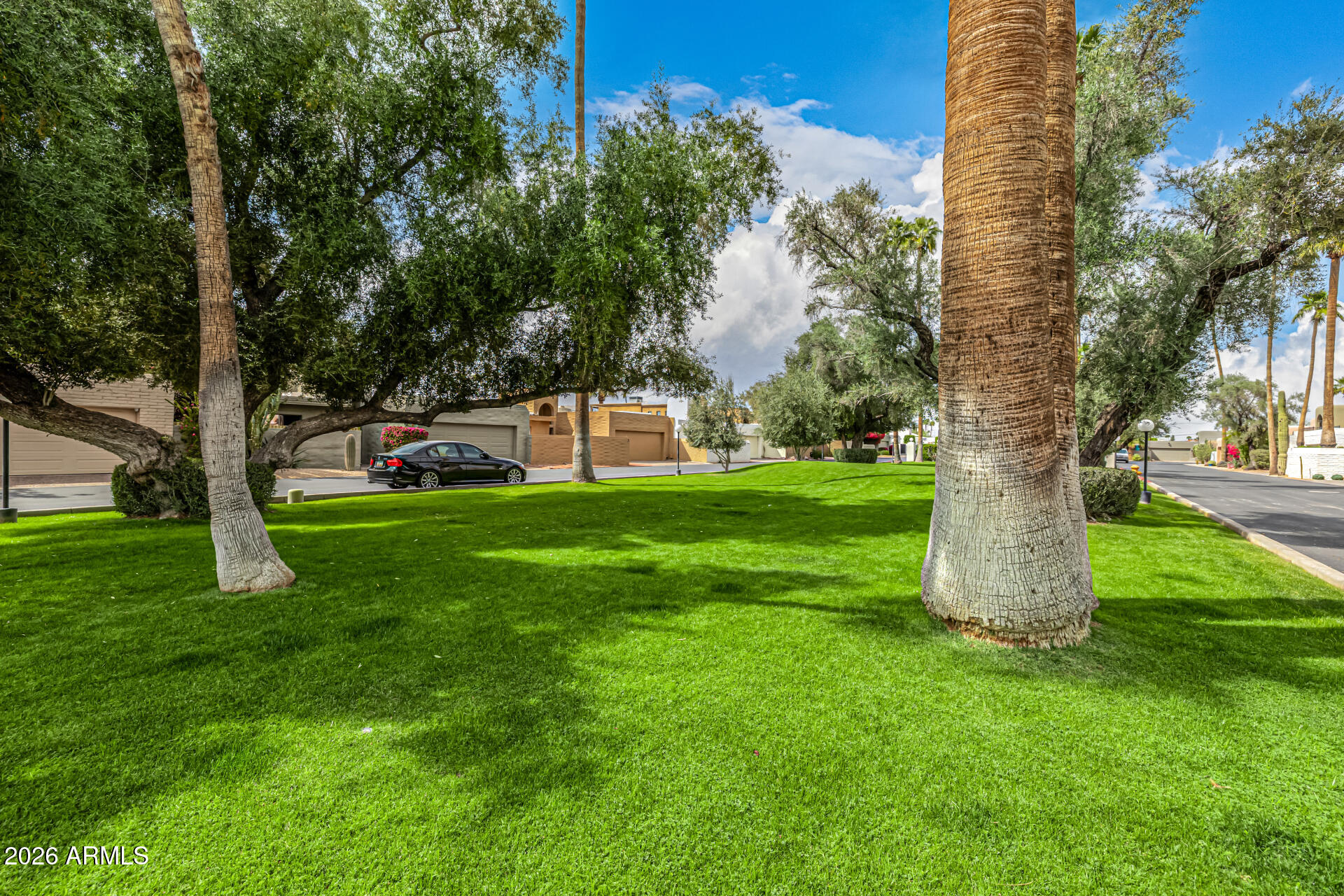 7770 East Camelback Road, Unit 11 Scottsdale, AZ 85251 - Photo 54 of 60 a view of a backyard with large trees