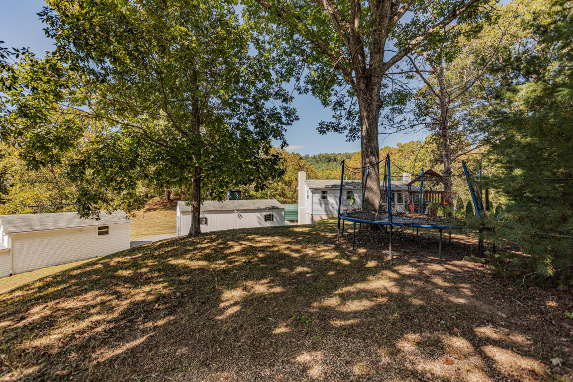 541 Pig Run Road Millboro, VA 24460 - Photo 14 of 54 14