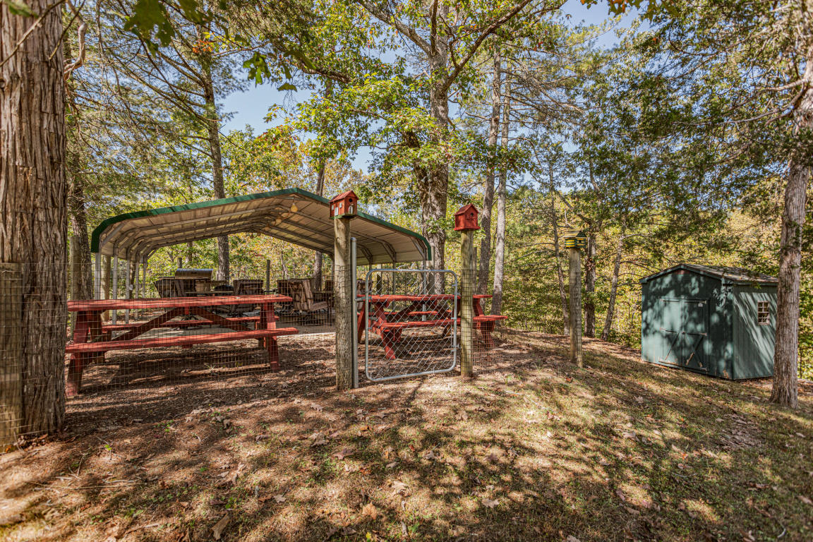 541 Pig Run Road Millboro, VA 24460 - Photo 34 of 54 34