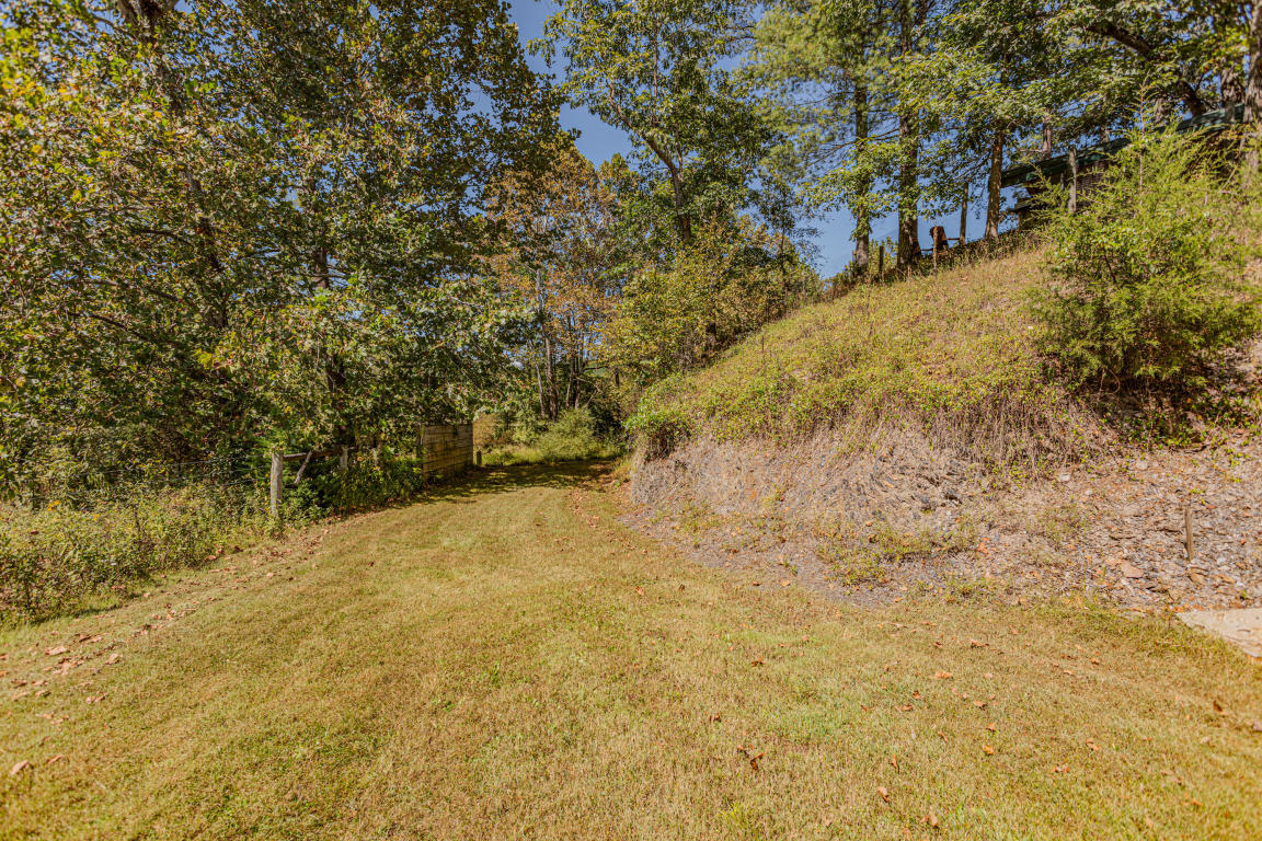 541 Pig Run Road Millboro, VA 24460 - Photo 40 of 54 40