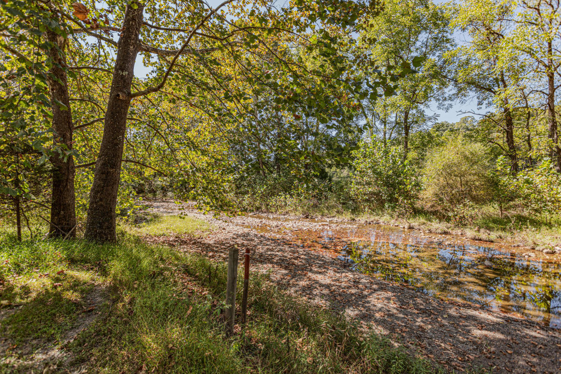 541 Pig Run Road Millboro, VA 24460 - Photo 42 of 54 42