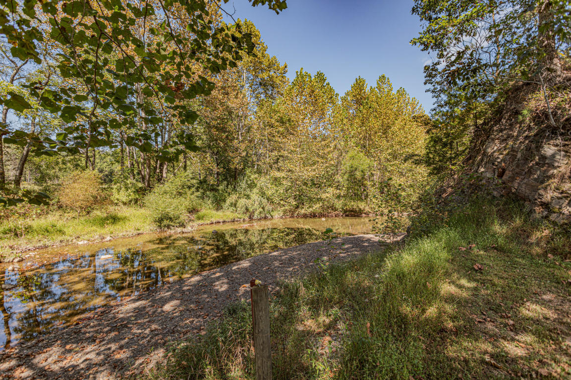 541 Pig Run Road Millboro, VA 24460 - Photo 44 of 54 44