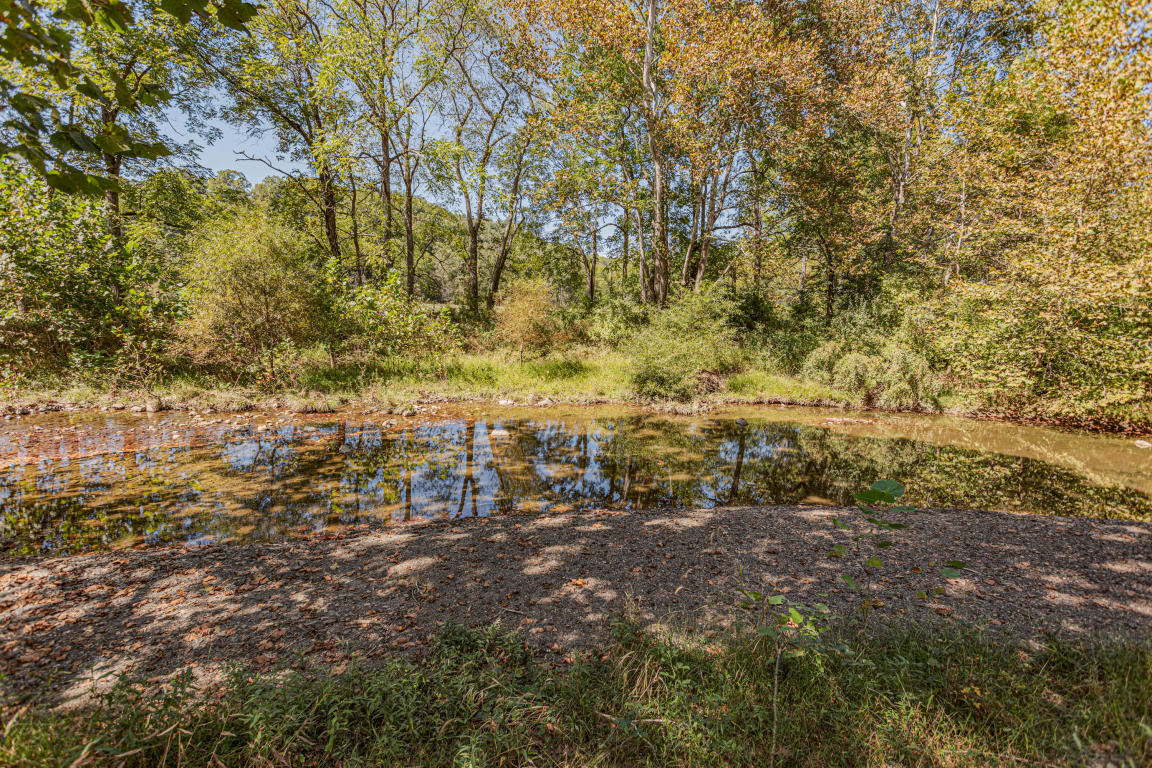 541 Pig Run Road Millboro, VA 24460 - Photo 45 of 54 45