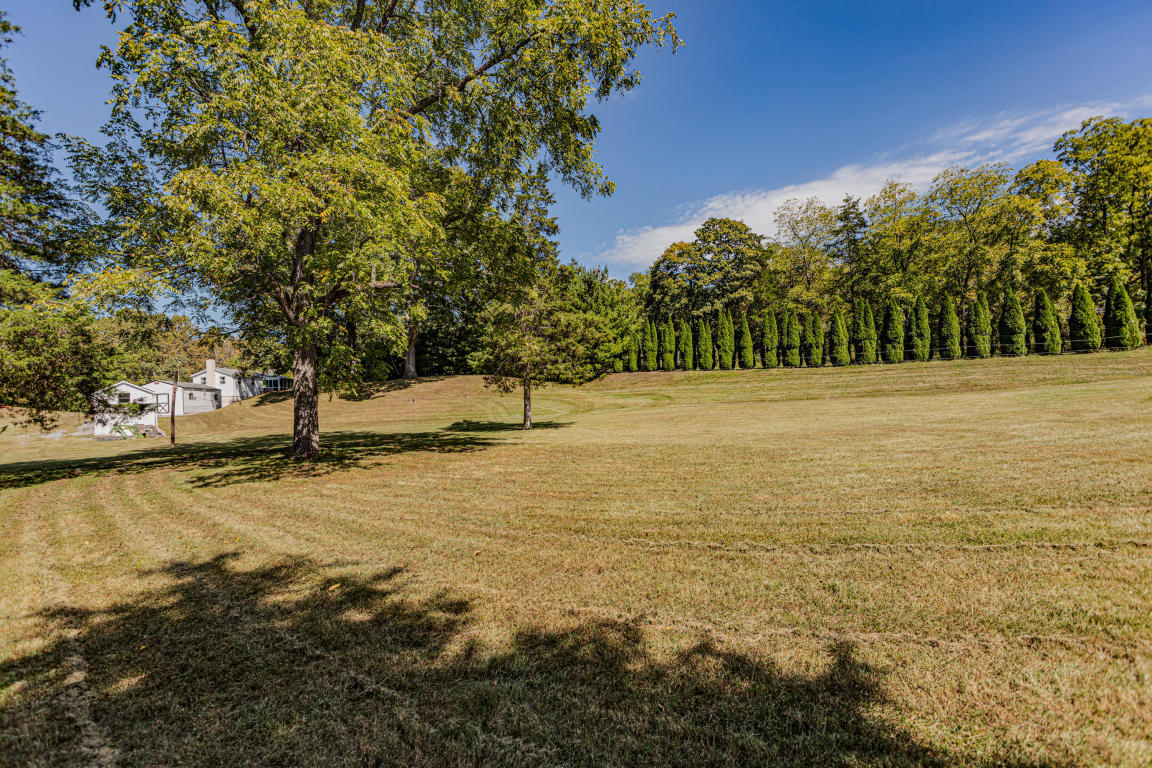 541 Pig Run Road Millboro, VA 24460 - Photo 46 of 54 46
