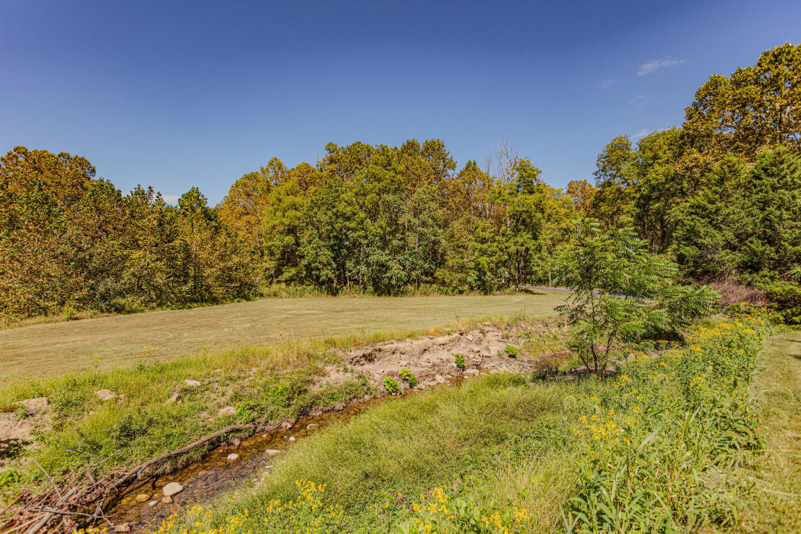 541 Pig Run Road Millboro, VA 24460 - Photo 49 of 54 49