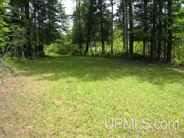 10 Saa Cornell, MI 49818 - Photo 7 of 20