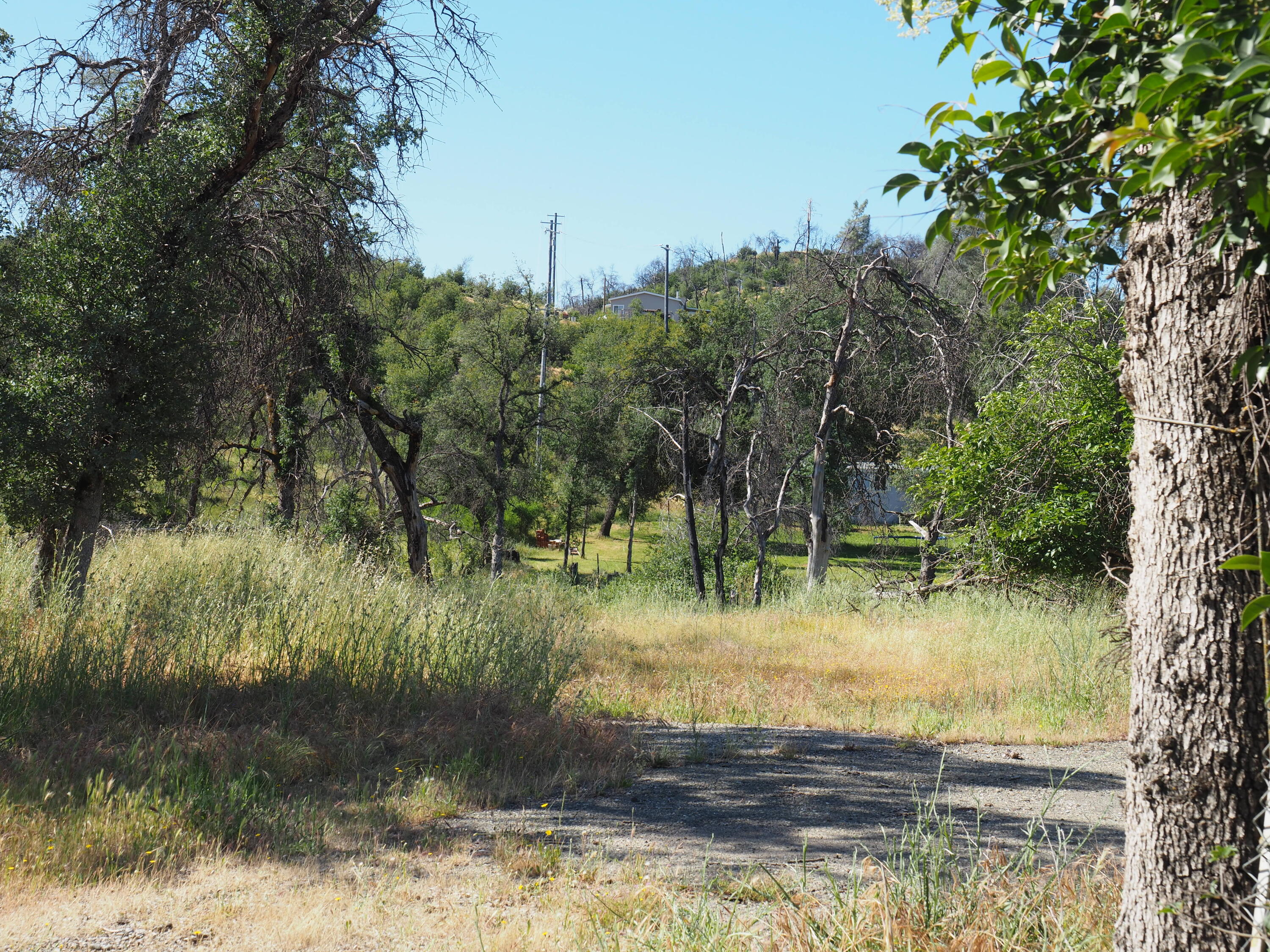20103 Parocast Road Redding, CA 96003 - Photo 1 of 24 a view of lake