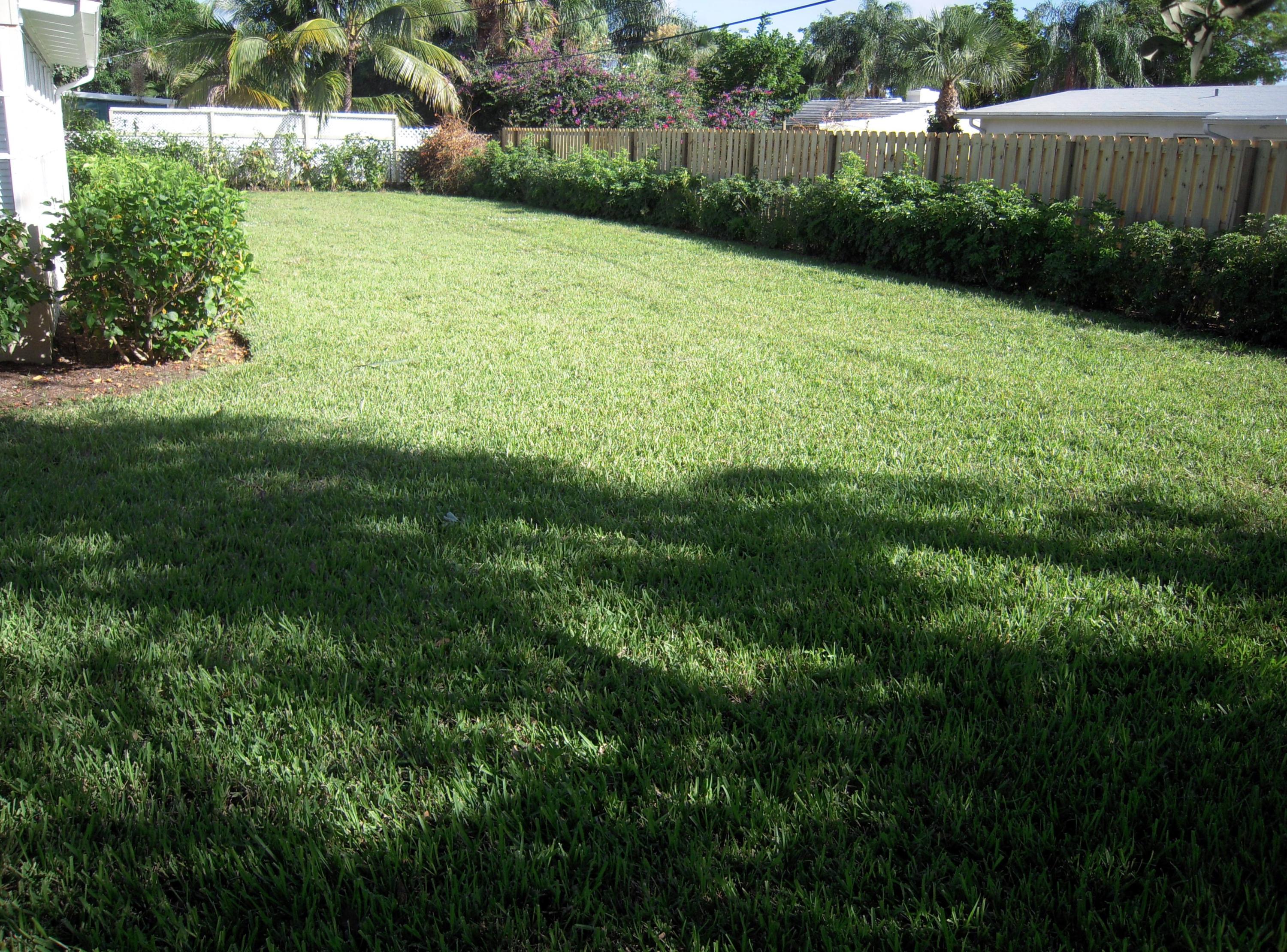 386 Gregory Road West Palm Beach, FL 33405 - Photo 7 of 21 386 Gregory Back yard 002
