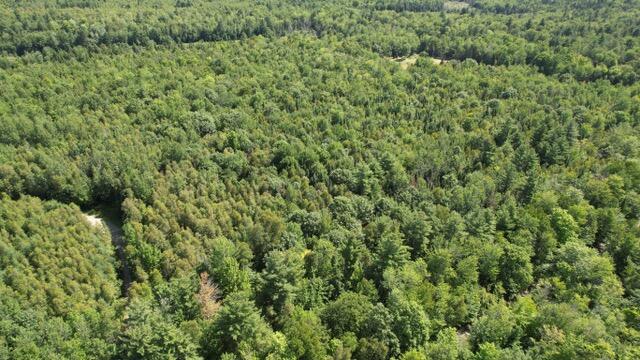 Lot 18-4 Ramsdell Ridge Road Milo, ME 04463 - Photo 2 of 7 DJI_0084