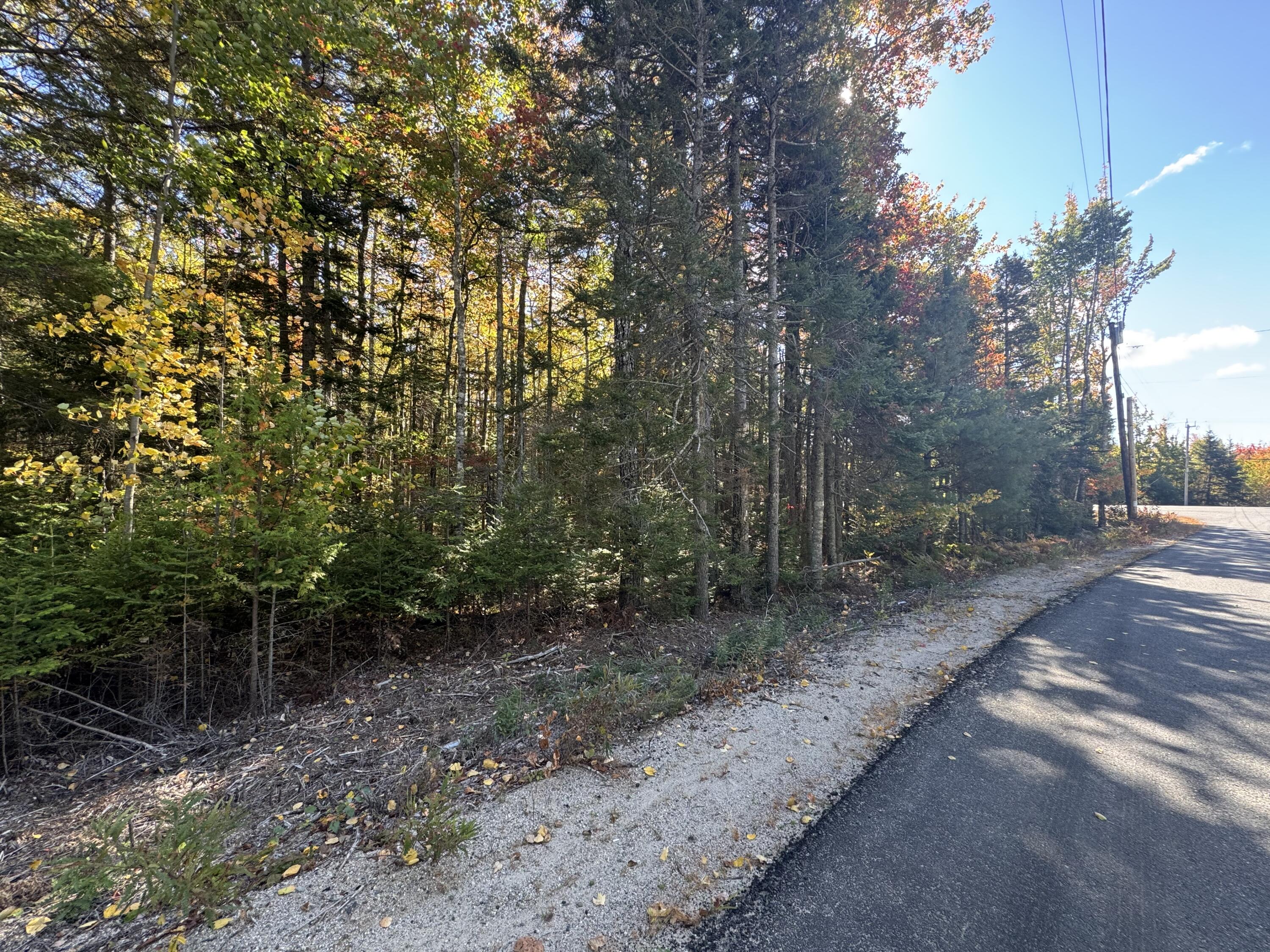 23-003-4 Walters Road Gouldsboro, ME 04607 - Photo 3 of 8 From Walters Road