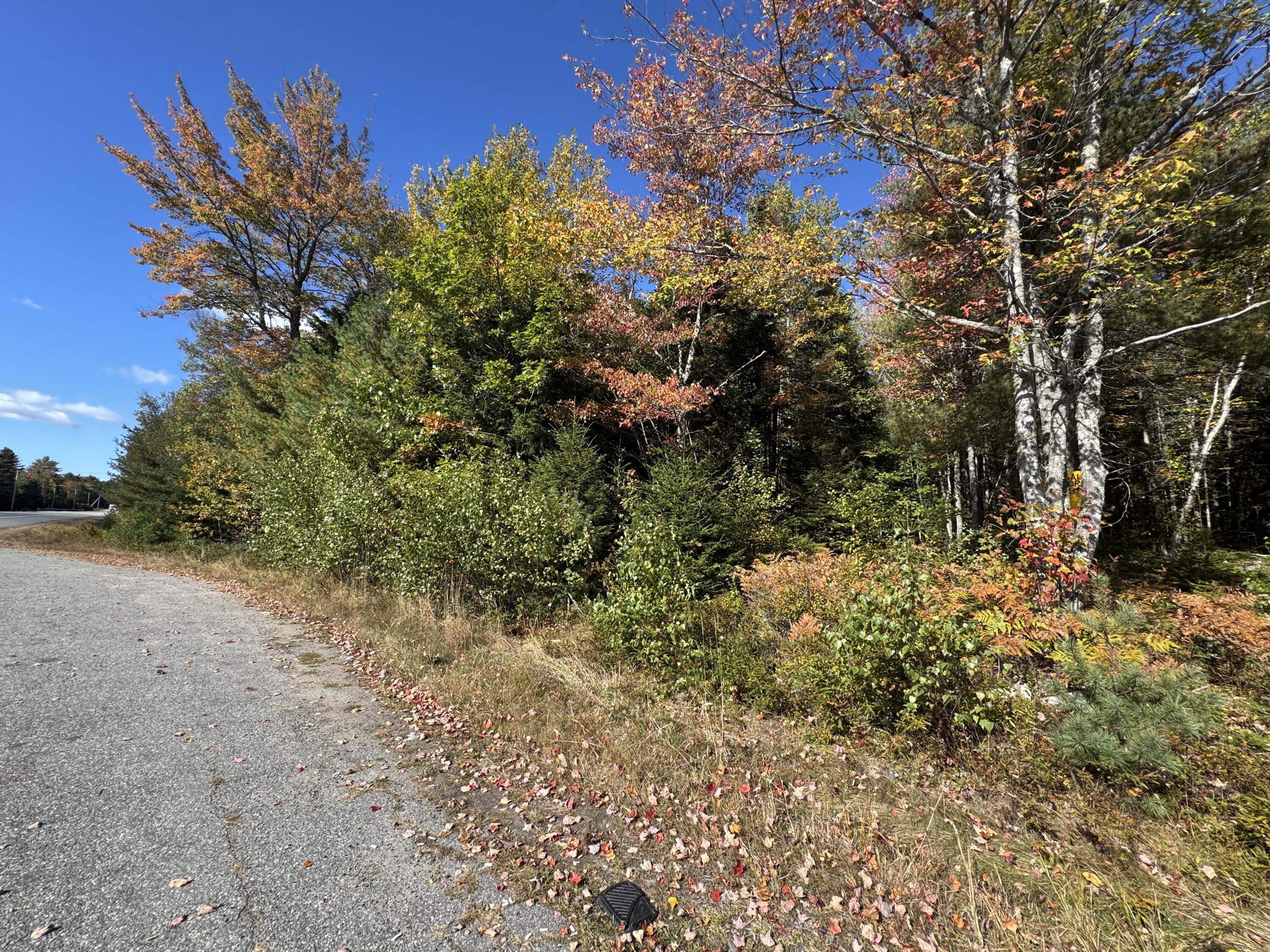 23-003-4 Walters Road Gouldsboro, ME 04607 - Photo 5 of 8 Route 1