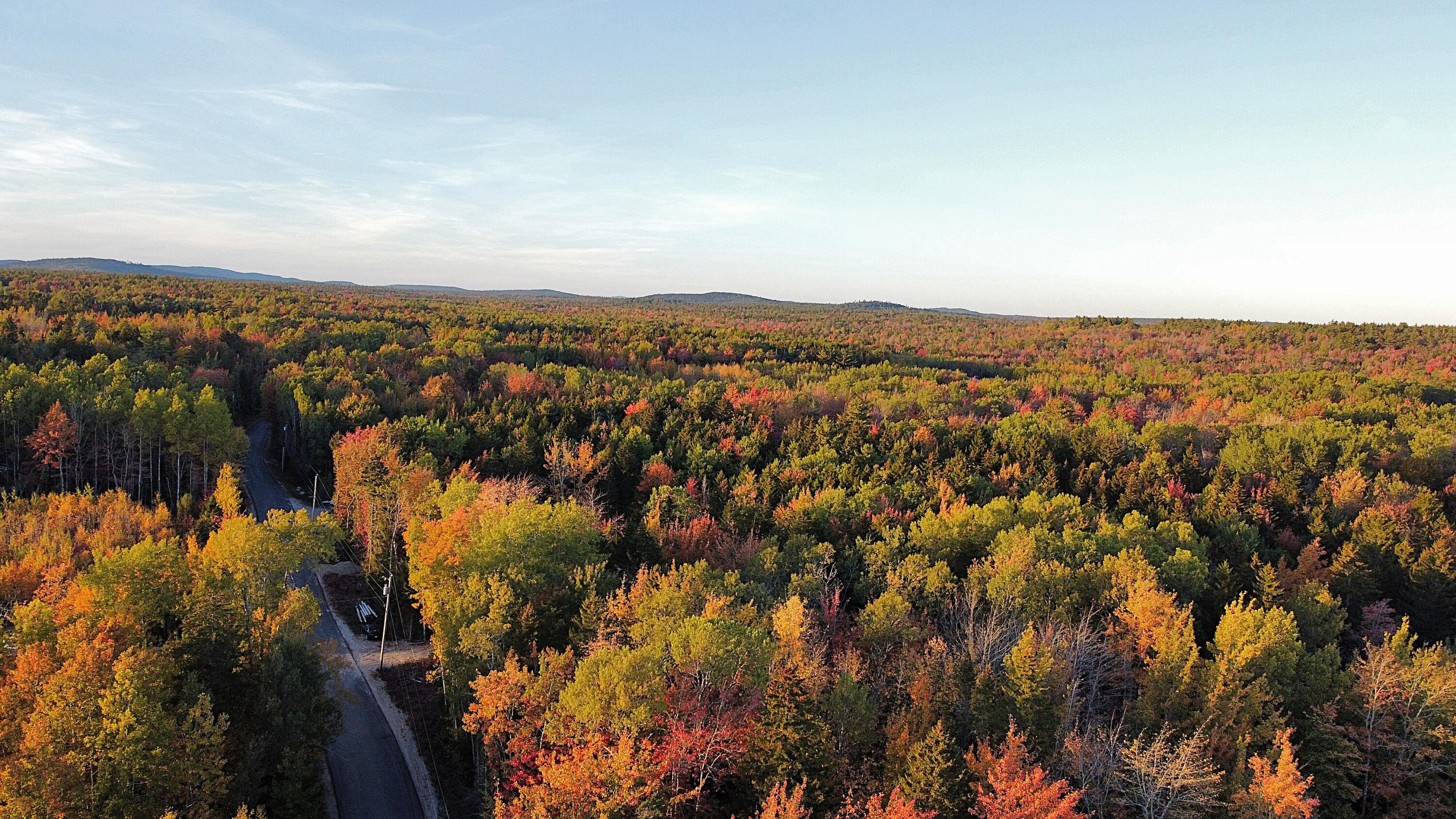 23-003-4 Walters Road Gouldsboro, ME 04607 - Photo 6 of 8 From Rt 1. Towards Walters Road