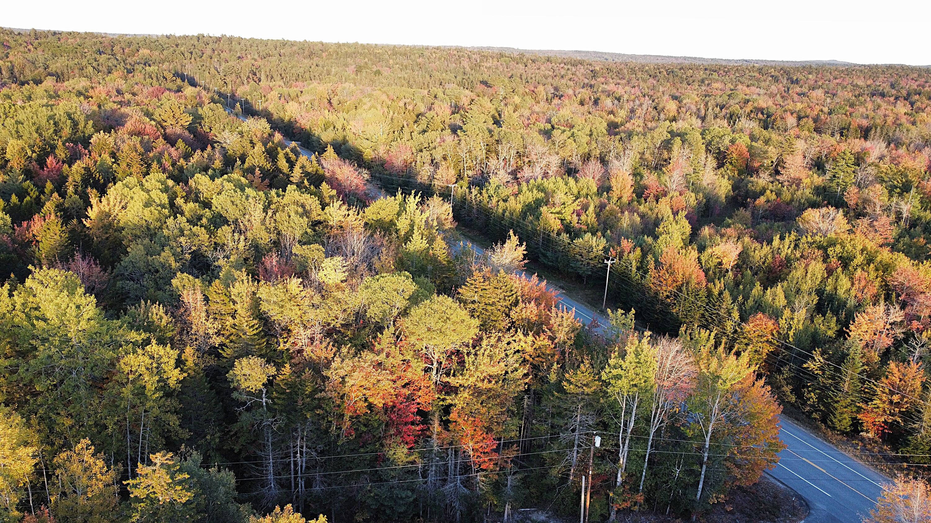 23-003-4 Walters Road Gouldsboro, ME 04607 - Photo 7 of 8 Over Fire Station