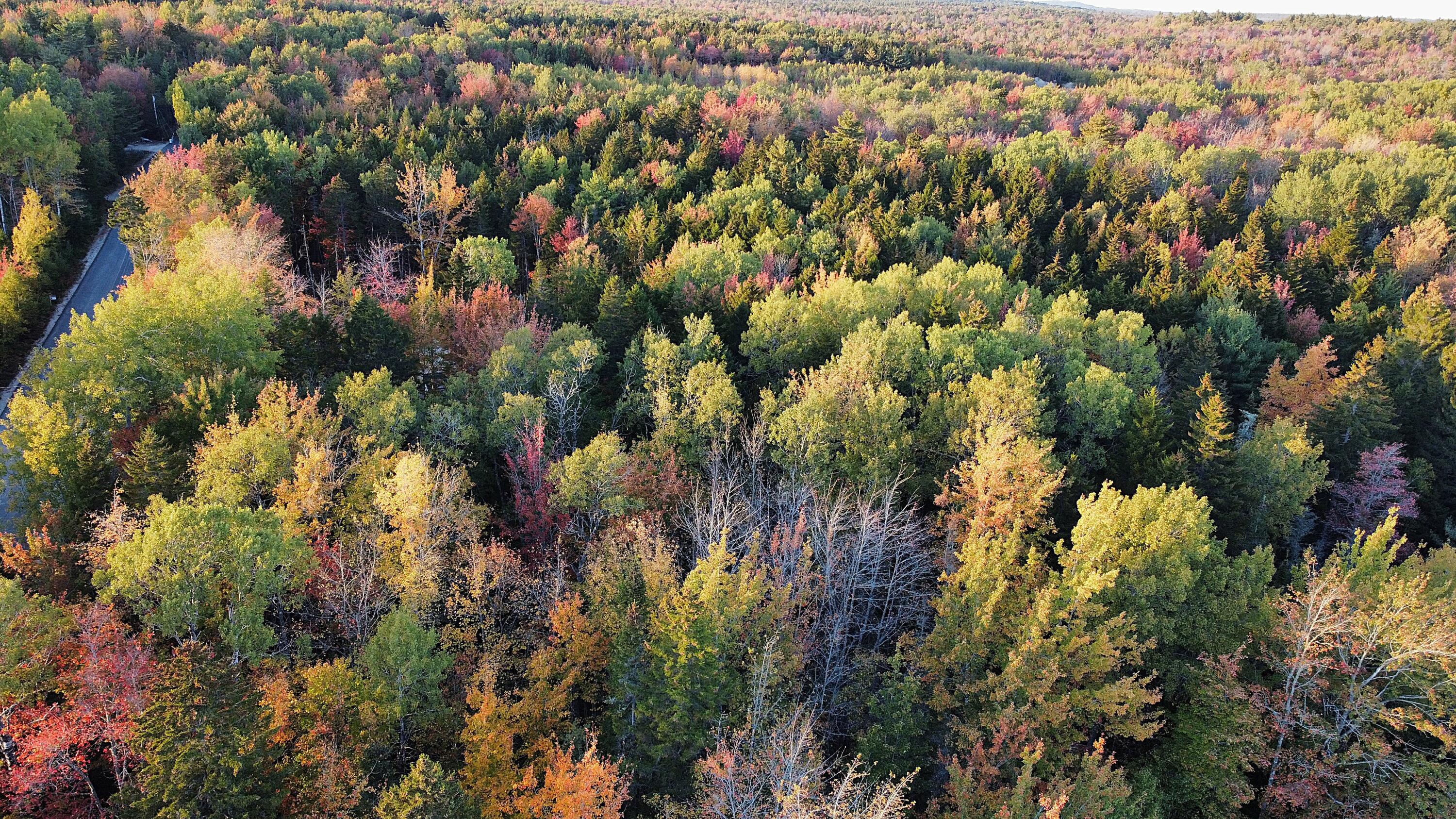 23-003-4 Walters Road Gouldsboro, ME 04607 - Photo 8 of 8 Over Rt. 1