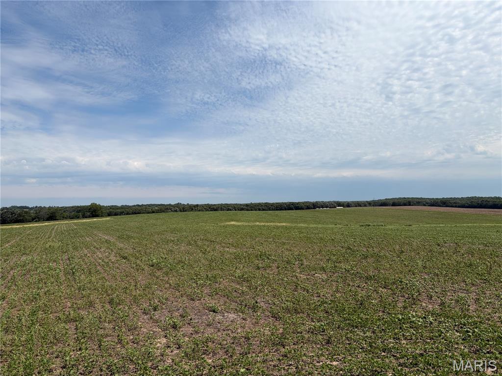 96.59 Acres Rock Road Bellflower, MO 63333 - Photo 13 of 21