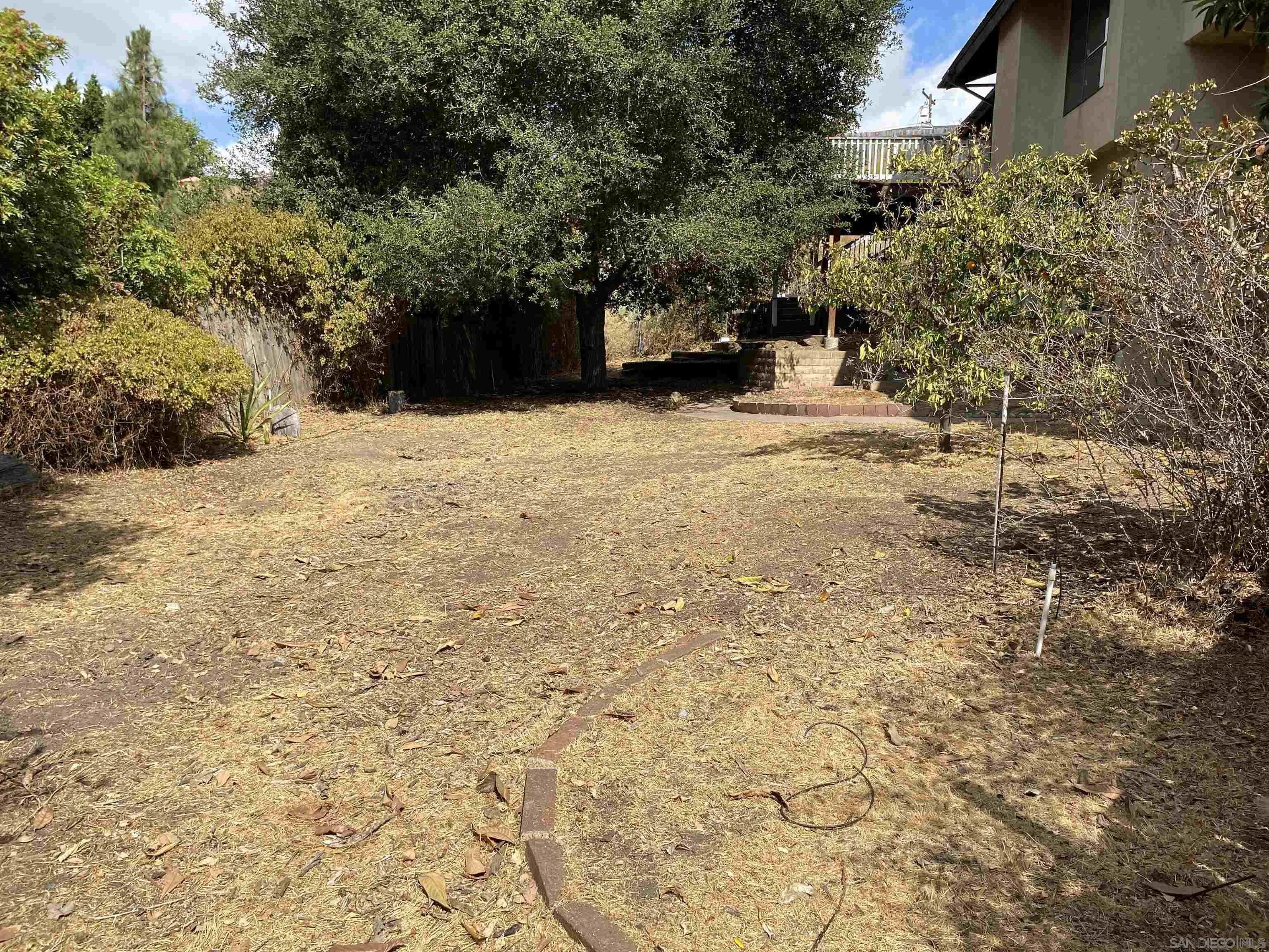 4940 Defiance Way San Diego, CA 92115 - Photo 44 of 47 a view of a yard with large trees