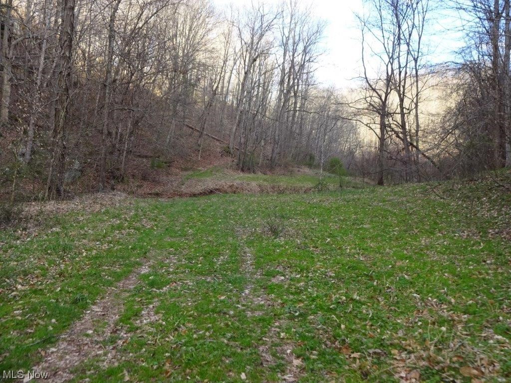 0 Triplett Road Spencer, WV 25276 - Photo 20 of 34