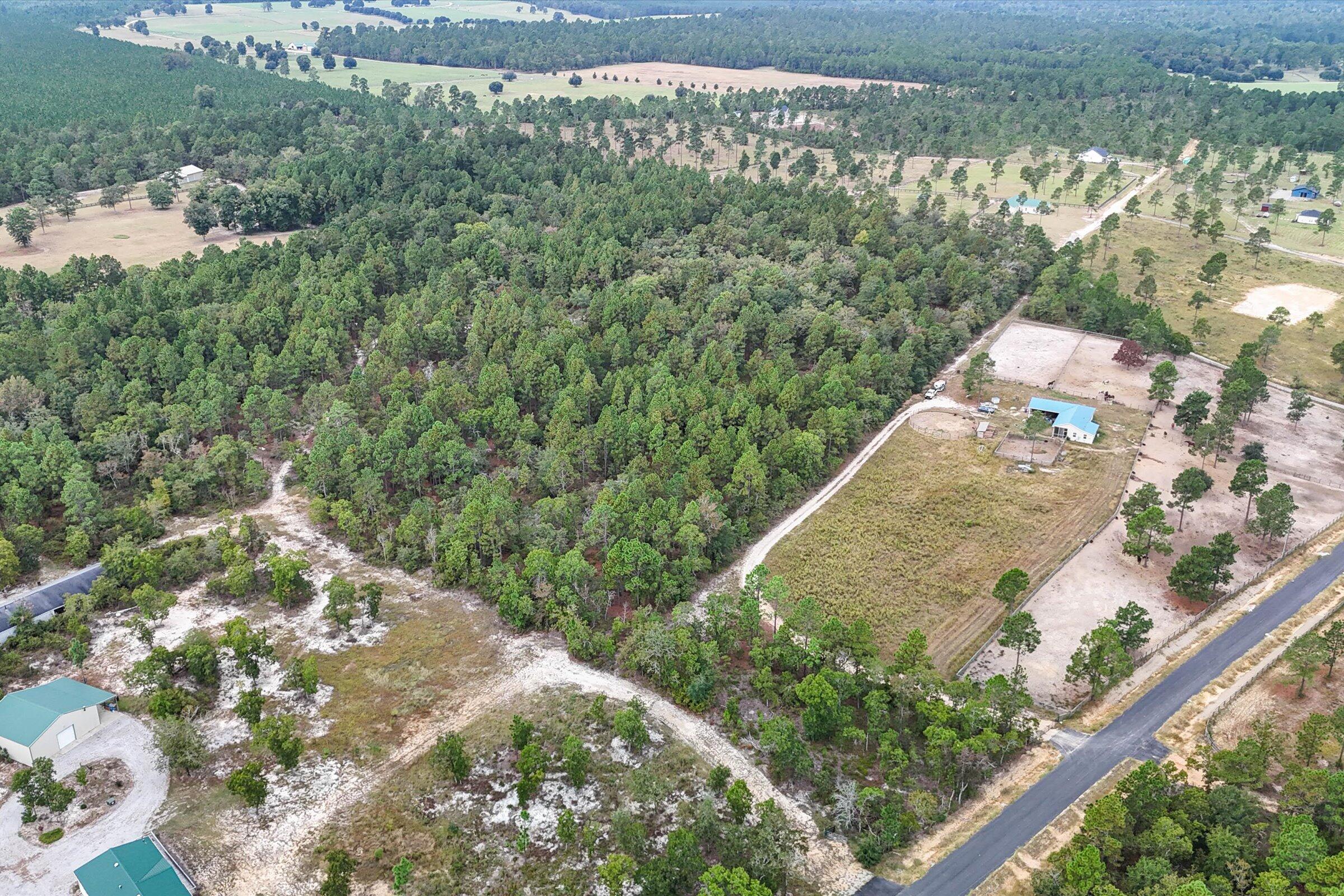 0 Joyner Pond Road Windsor, SC 29856 - Photo 1 of 6