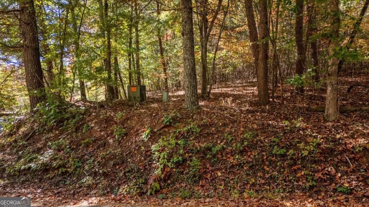 Lot 1 Twin Mountain Road Hiawassee, GA 30546 - Photo 3 of 5